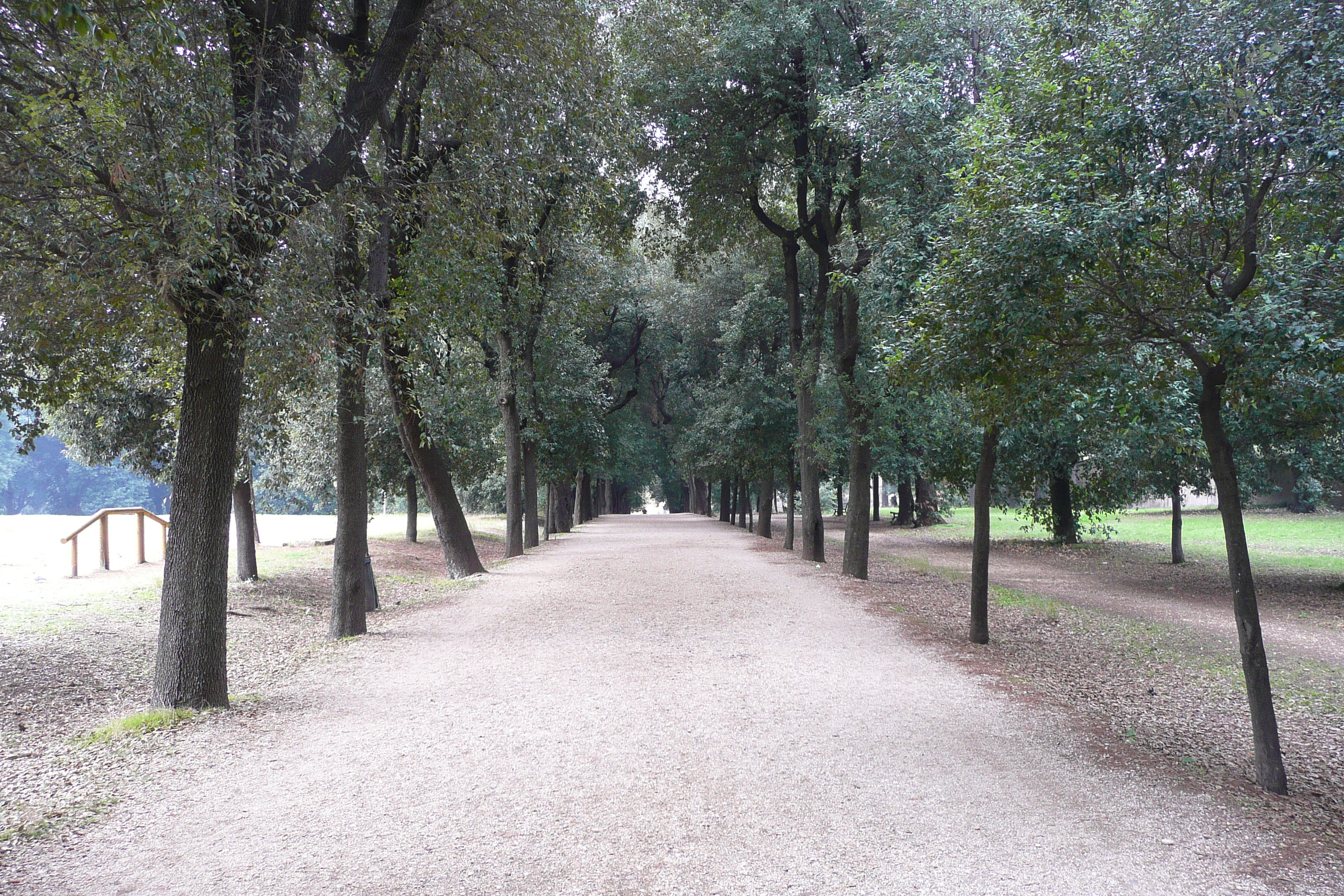 照片 意大利(Italy) 罗马(Rome) 多里亚·潘菲利别墅公园(Villa Doria Pamphili) 2007-11 35