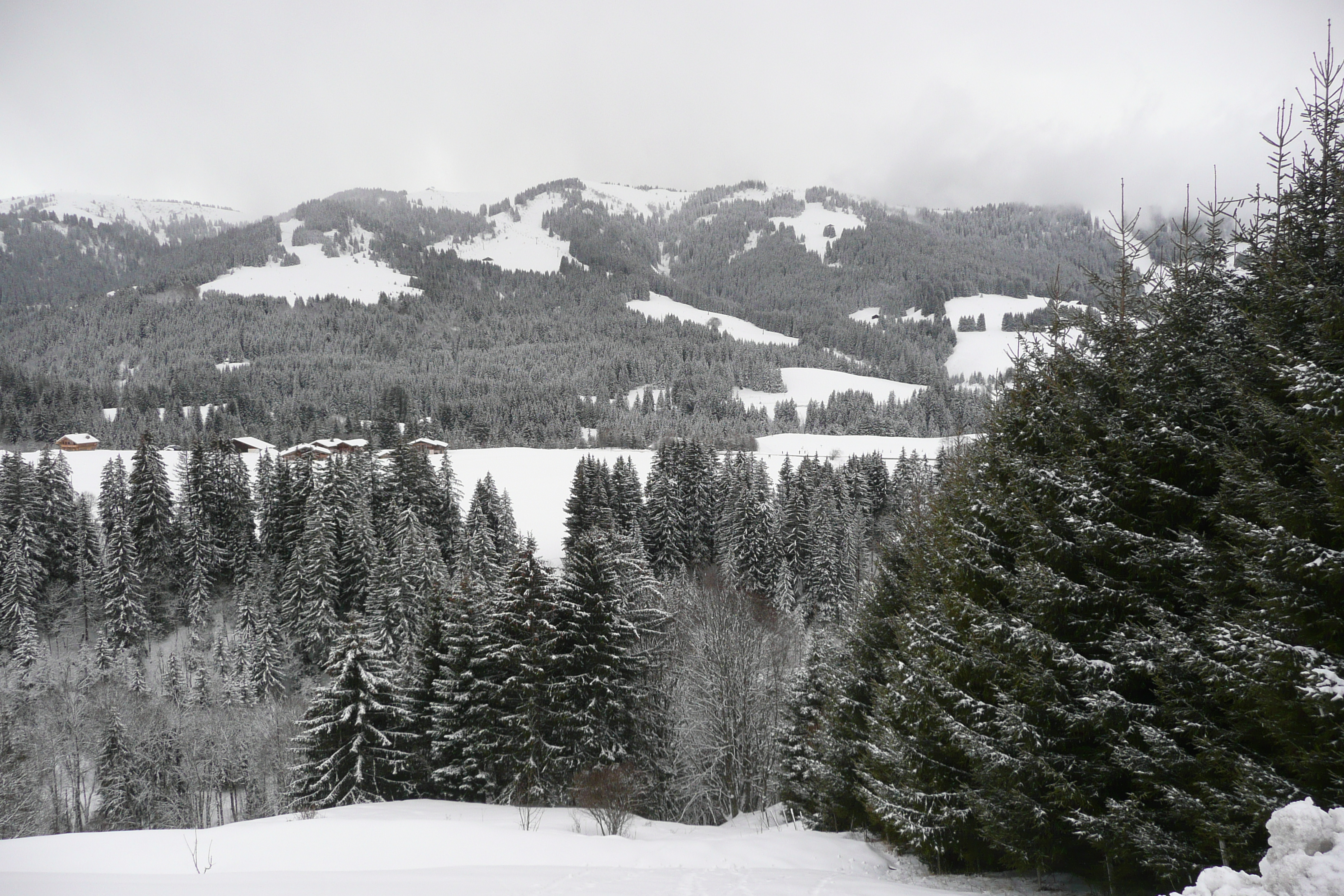 照片 法国(France) 梅杰夫(Megeve) 勒普拉奈(Le Planay) 2010-02 40