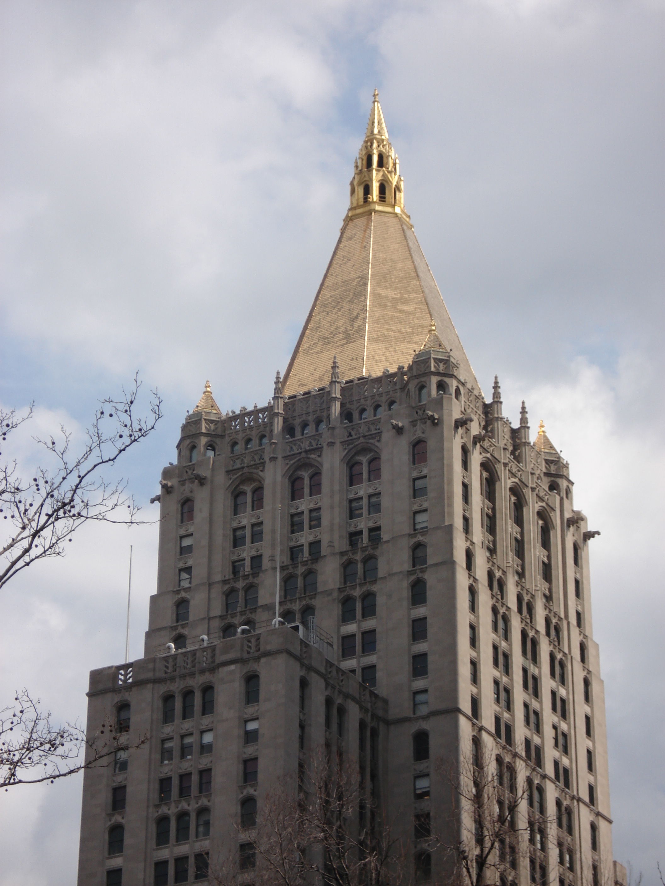 照片 美国(United States) 纽约(New York) 沿第五大道而下(down the 5th Avenue) 2006-03 37
