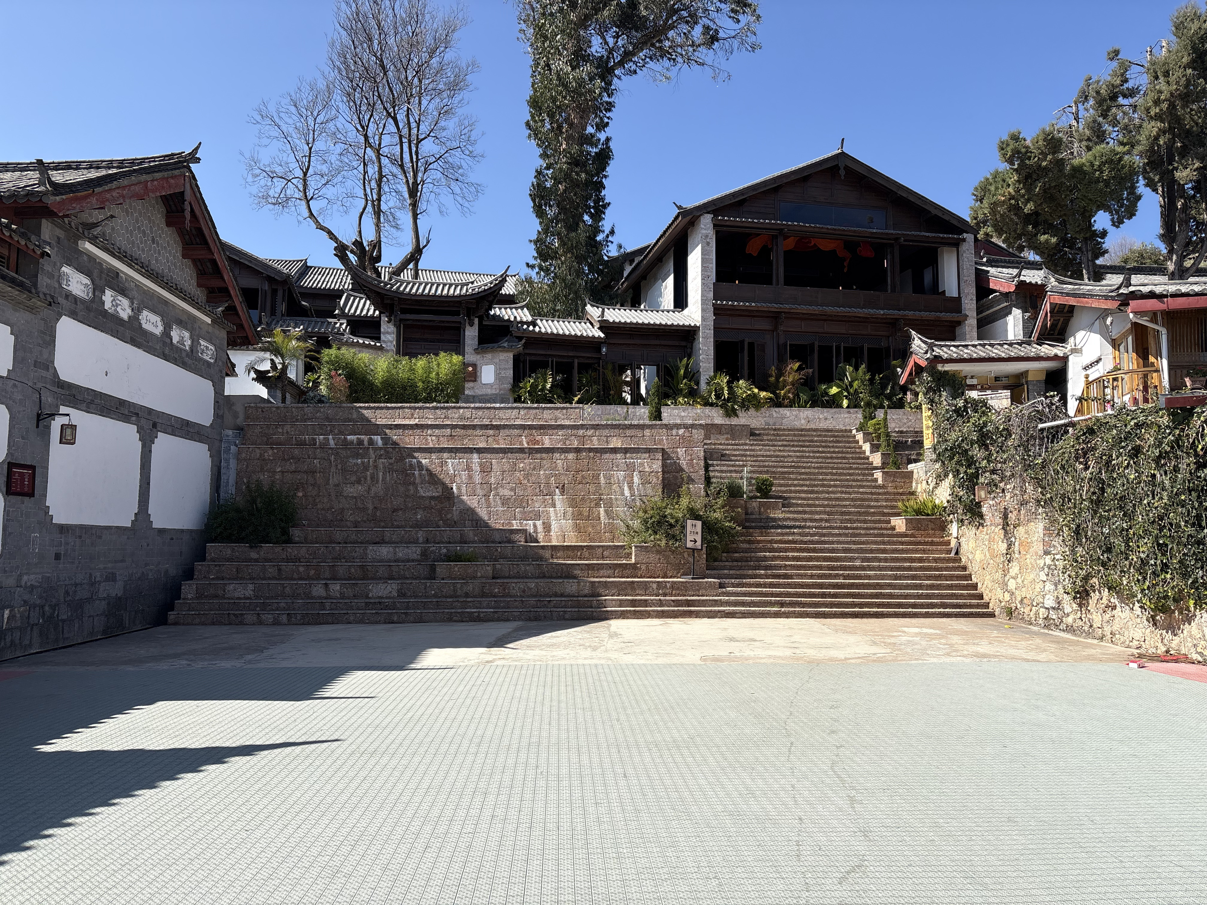 照片 中国(China) 丽江(Lijiang) 2026-01 581
