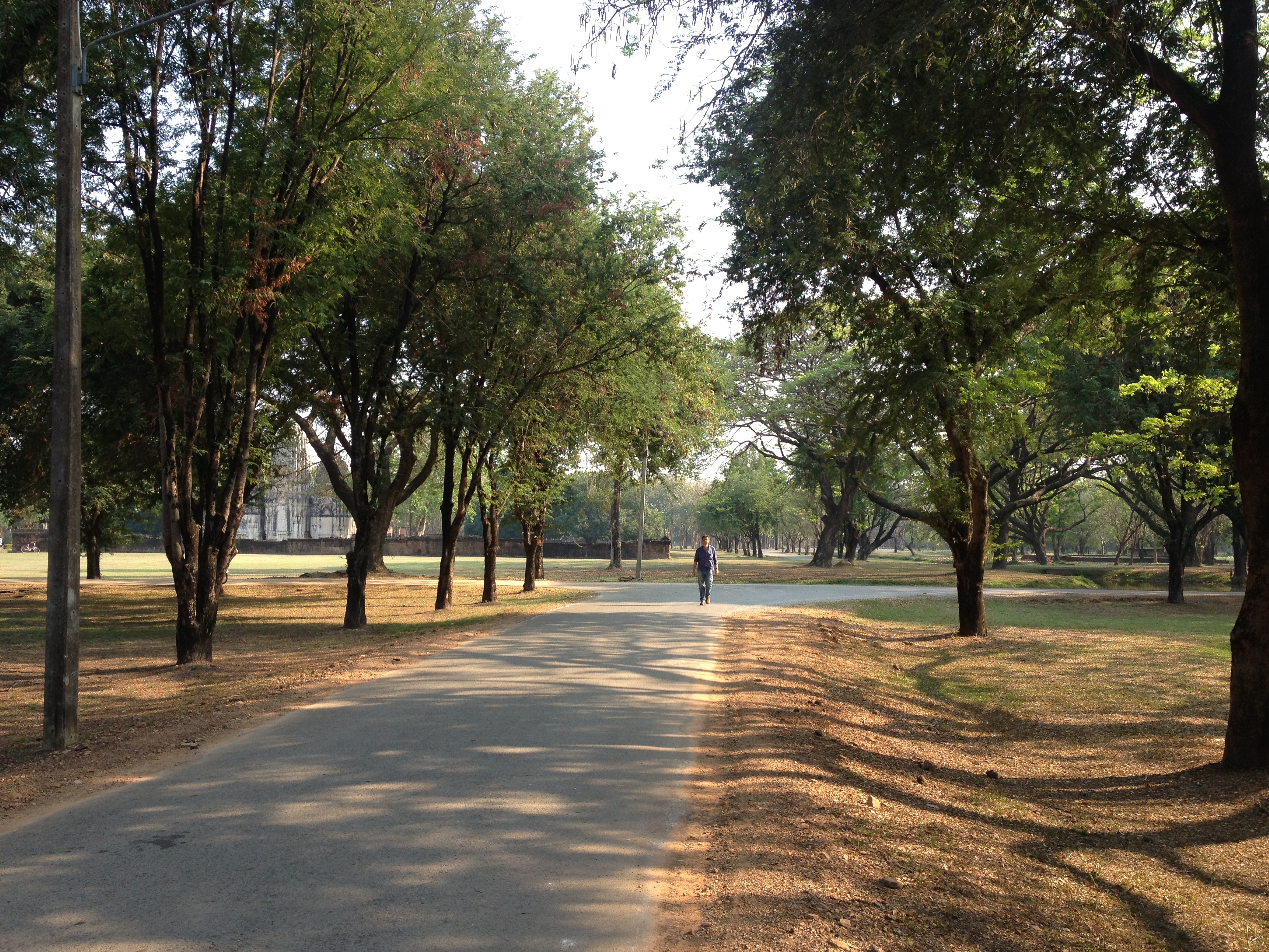 照片 泰国(Thailand) 素可泰(Sukhothai) 2014-02 49