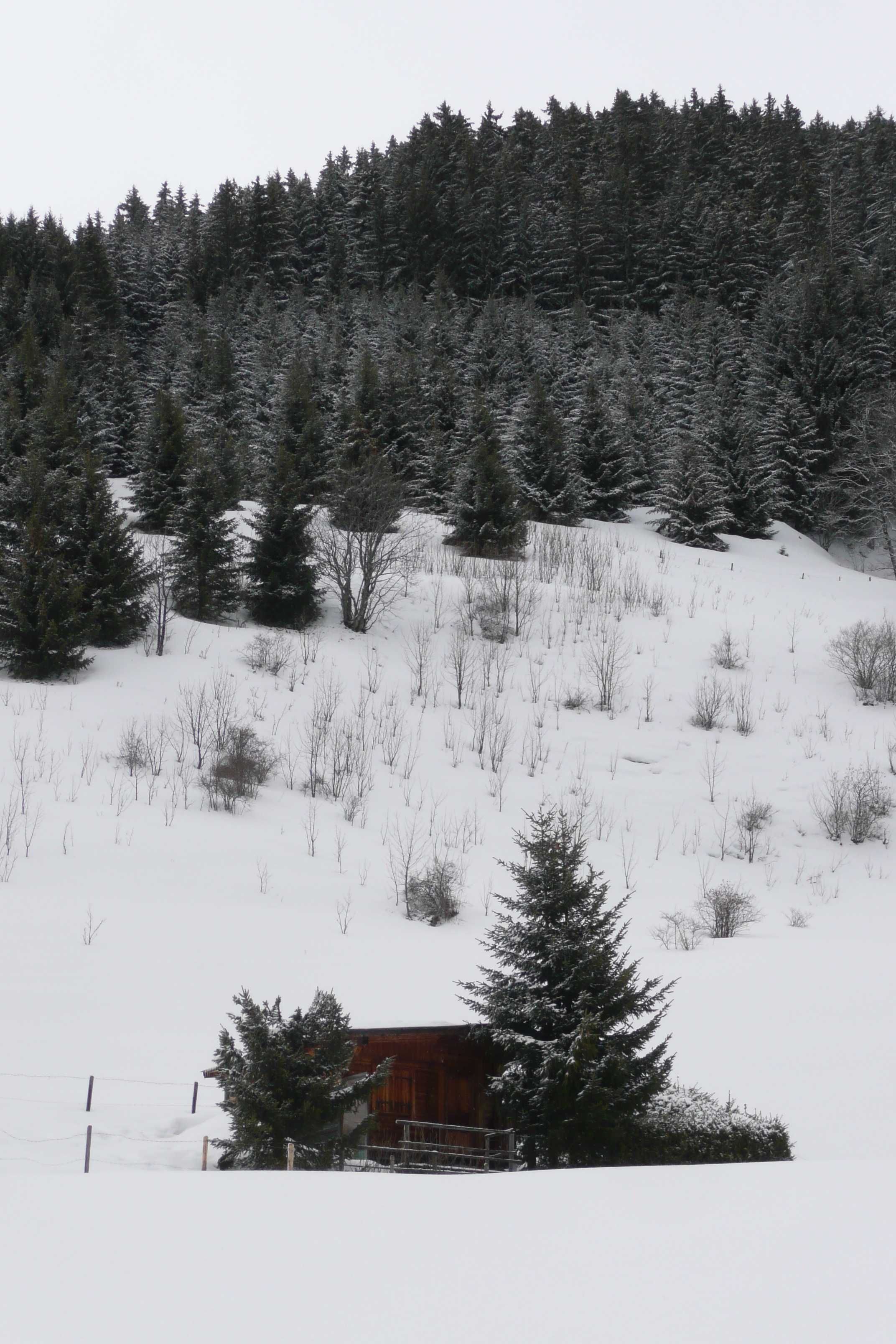 照片 法国(France) 梅杰夫(Megeve) 勒普拉奈(Le Planay) 2010-02 48