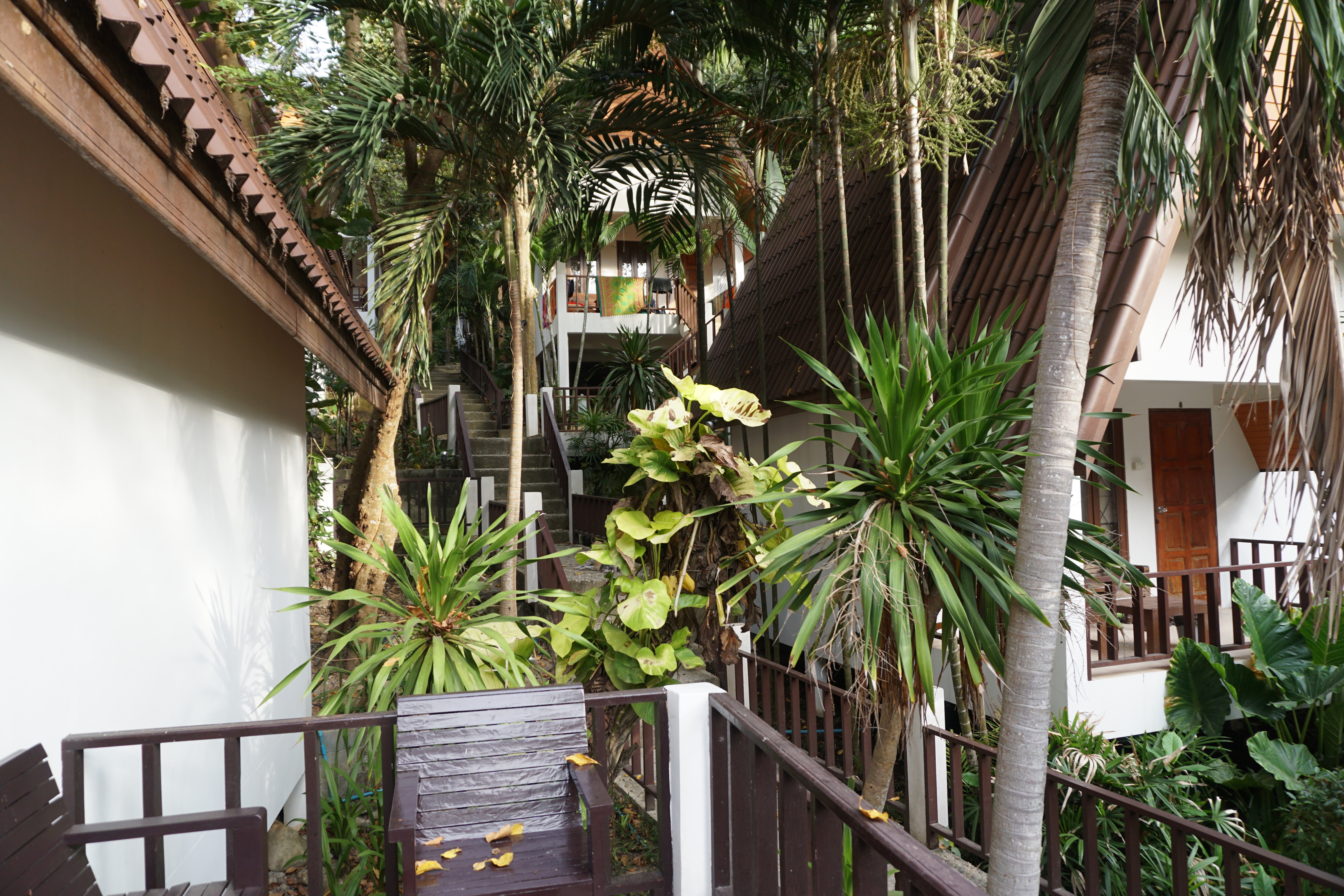 照片 泰国(Thailand) 沙美岛(Ko Samet) 2016-12 10