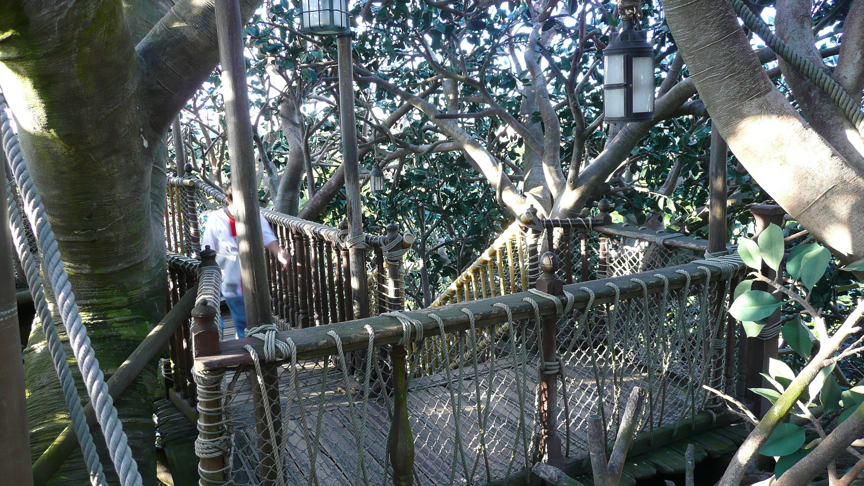 照片 法国(France) 巴黎迪士尼乐园(Disneyland Paris) 鲁滨逊树屋(La Cabane des Robinson) 2007-07 17