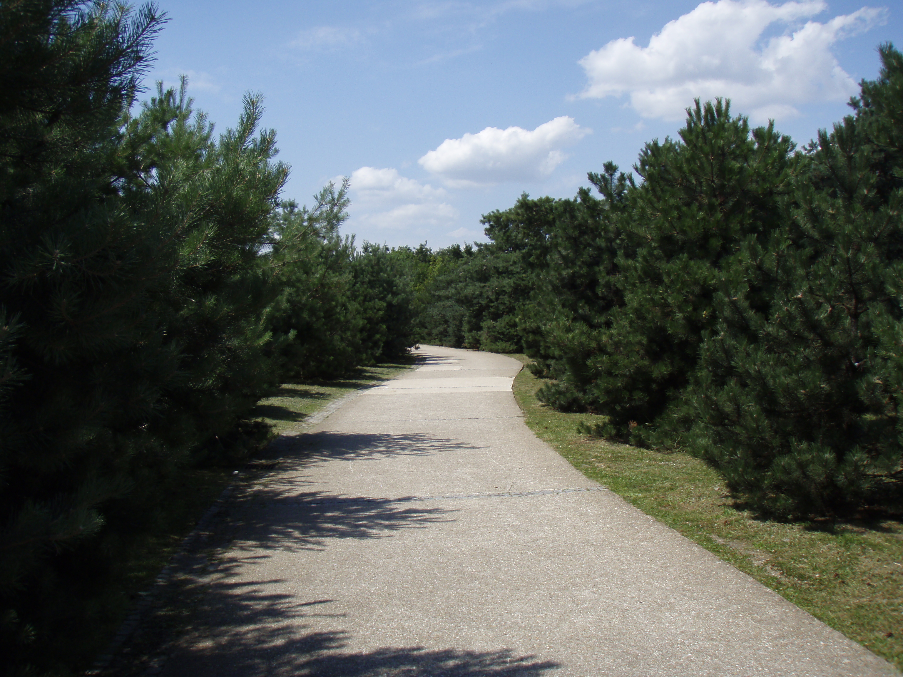 照片 法国(France) 维尔讷夫拉加雷讷(Villeneuve La Garenne) 尚特雷讷公园(Parc des Chanteraines) 2007-07 17