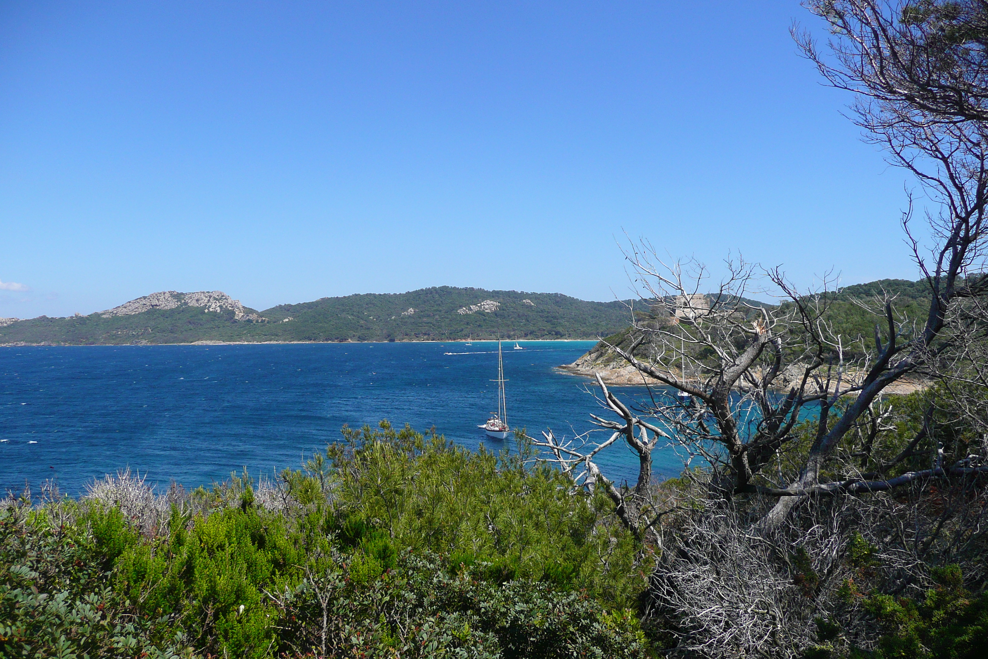 照片 法国(France) 波克罗勒岛(Porquerolles Island) 勒坎角(Pointe du Lequin) 2008-05 14