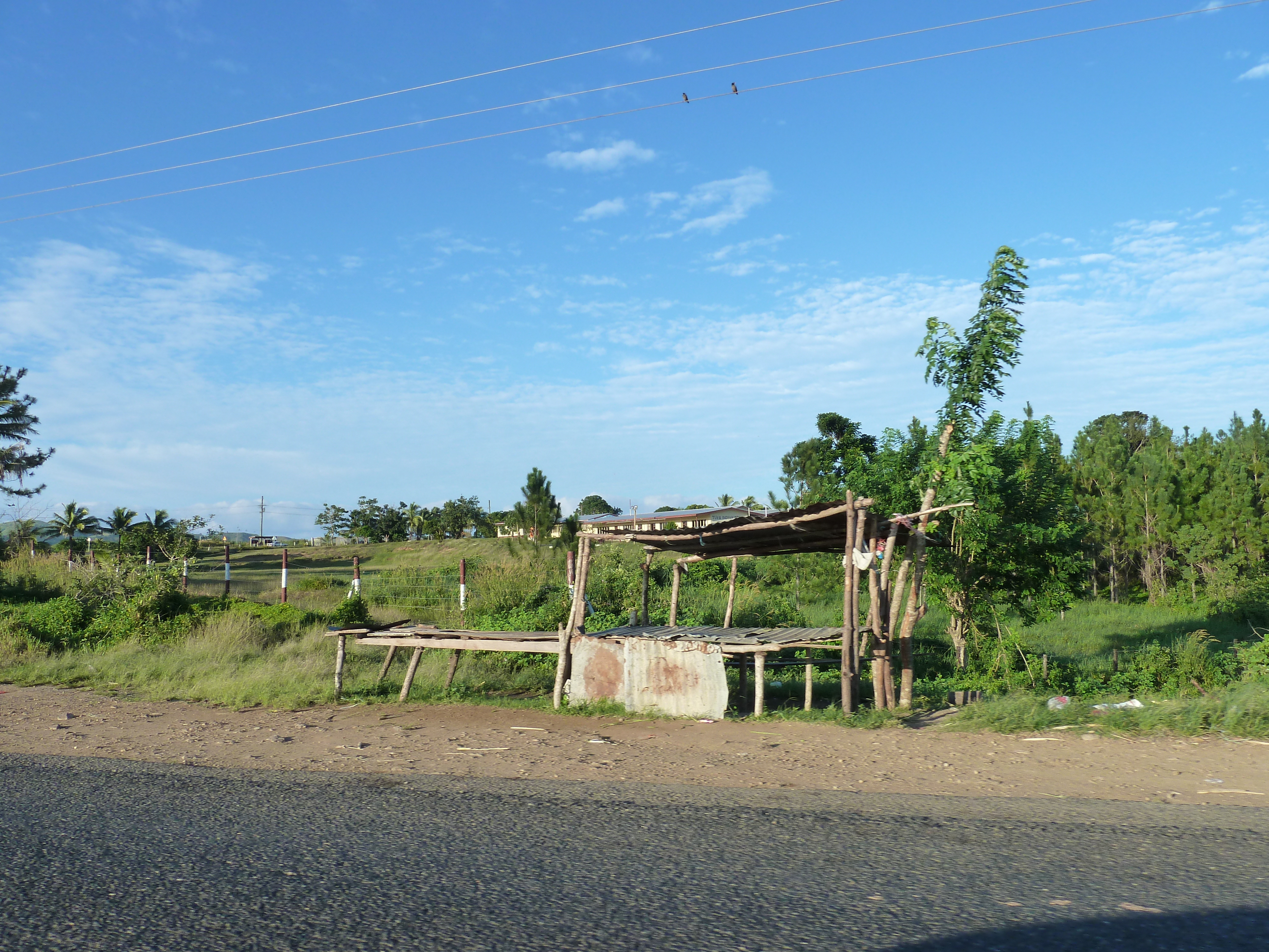 照片 斐济(Fiji) 楠迪至辛加东卡公路(Nadi to Sigatoka road) 2010-05 25