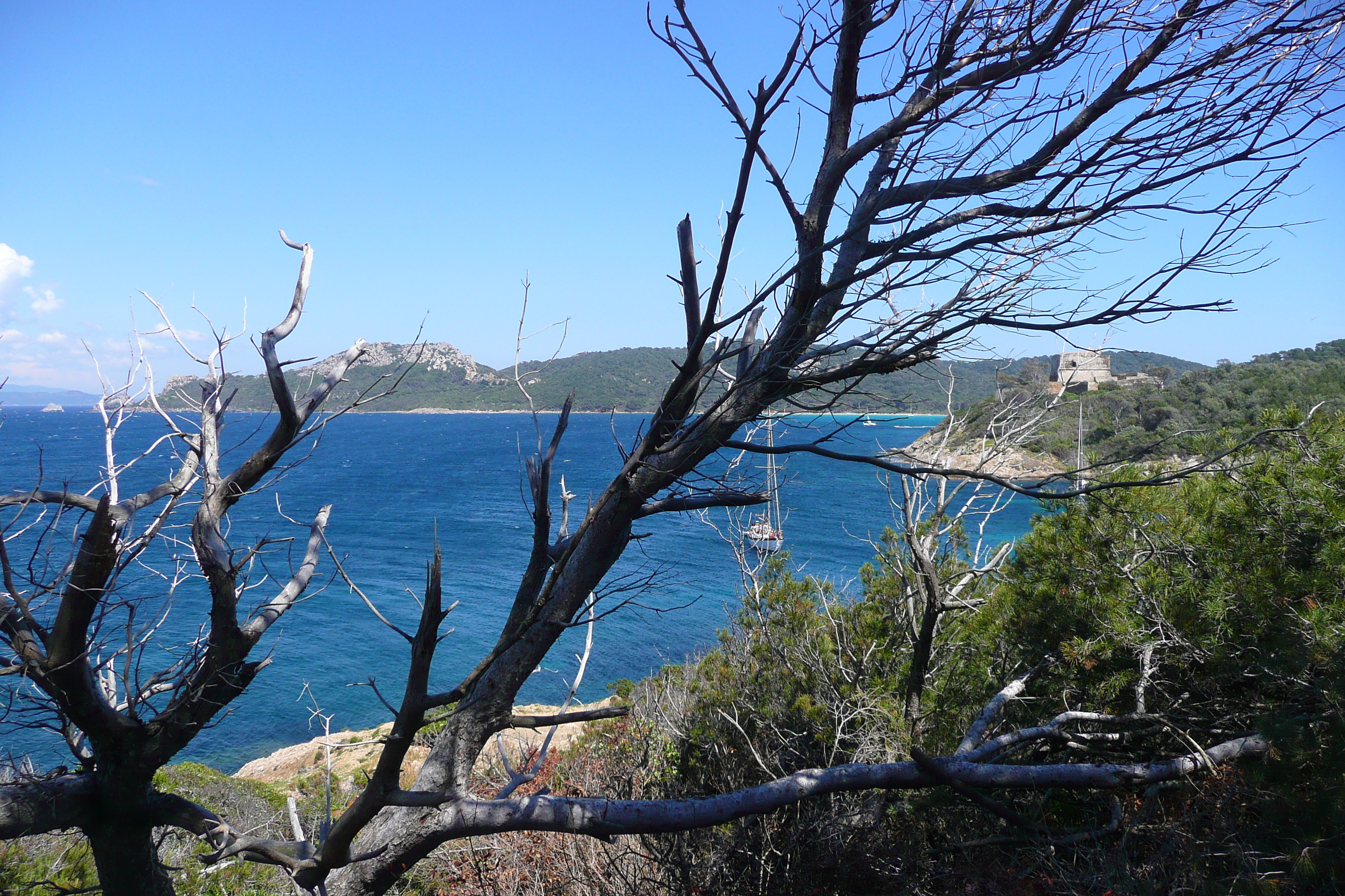 照片 法国(France) 波克罗勒岛(Porquerolles Island) 勒坎角(Pointe du Lequin) 2008-05 36
