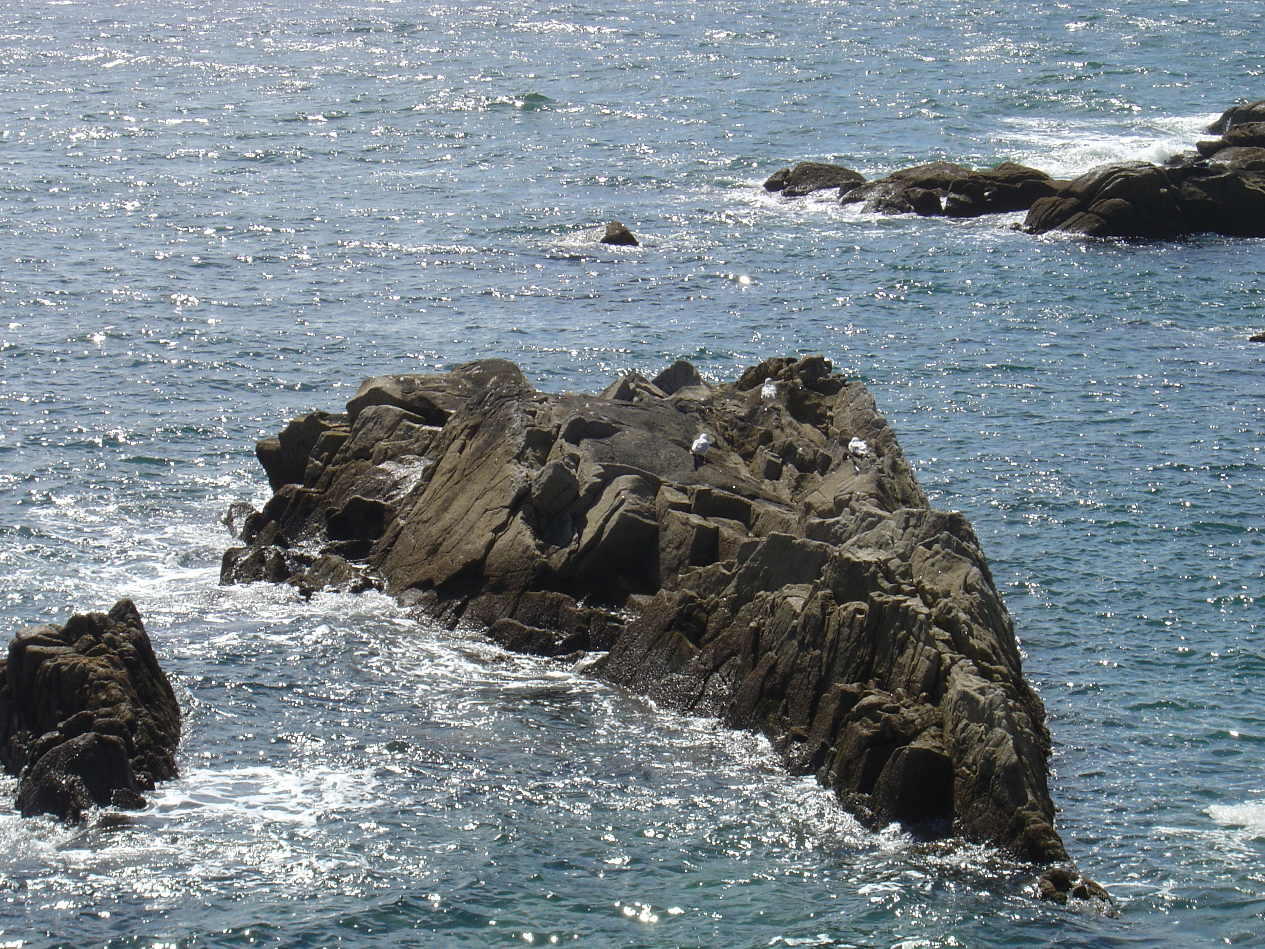 照片 法国(France) 滨海巴茨(Batz sur mer) 2004-08 7