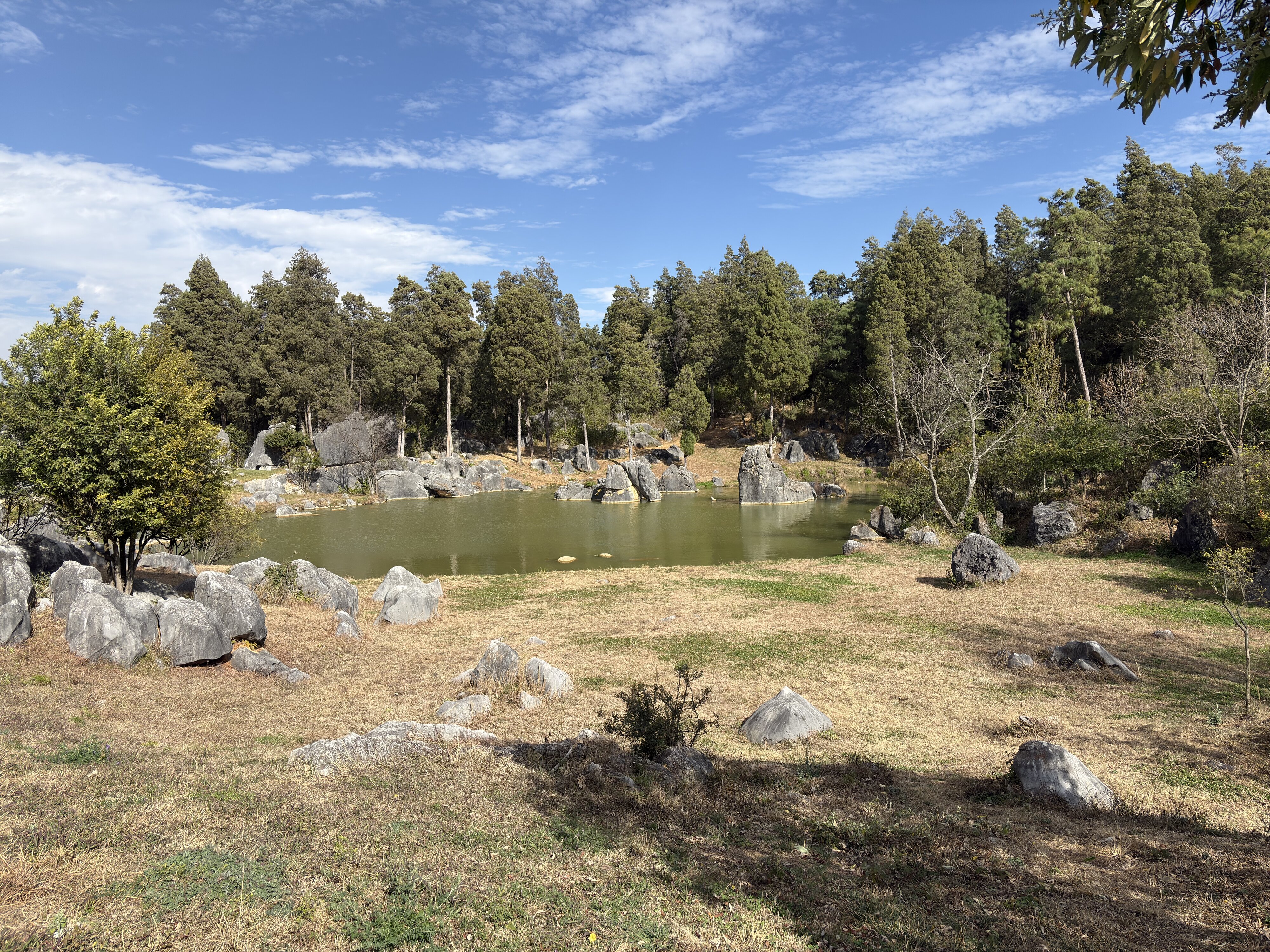 照片 中国(China) 石林(Shilin Stone Forest) 2026-01 43