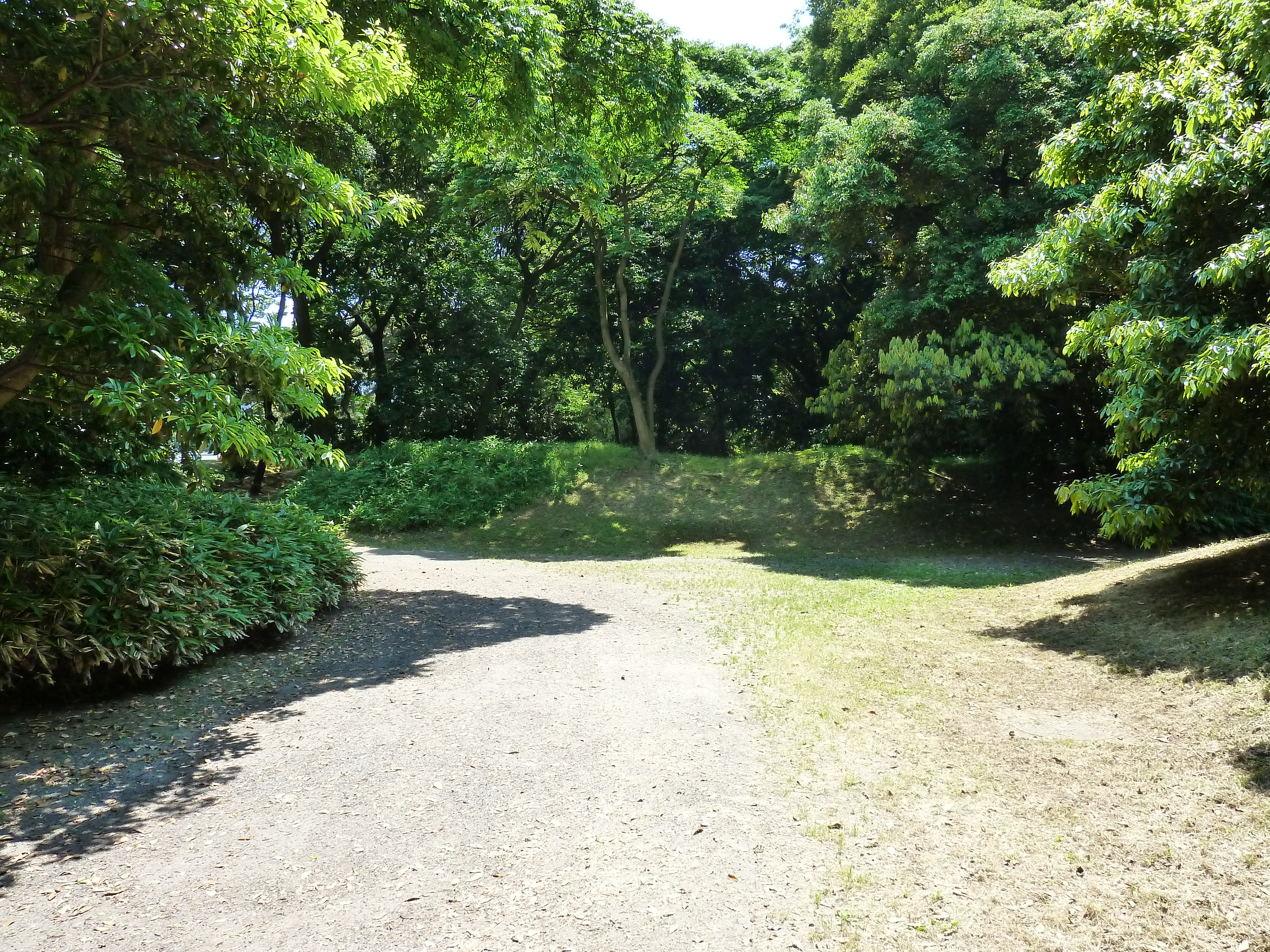 照片 日本(Japan) 东京(Tokyo) 滨离宫恩赐庭园(Hama rikyu Gardens) 2010-06 30