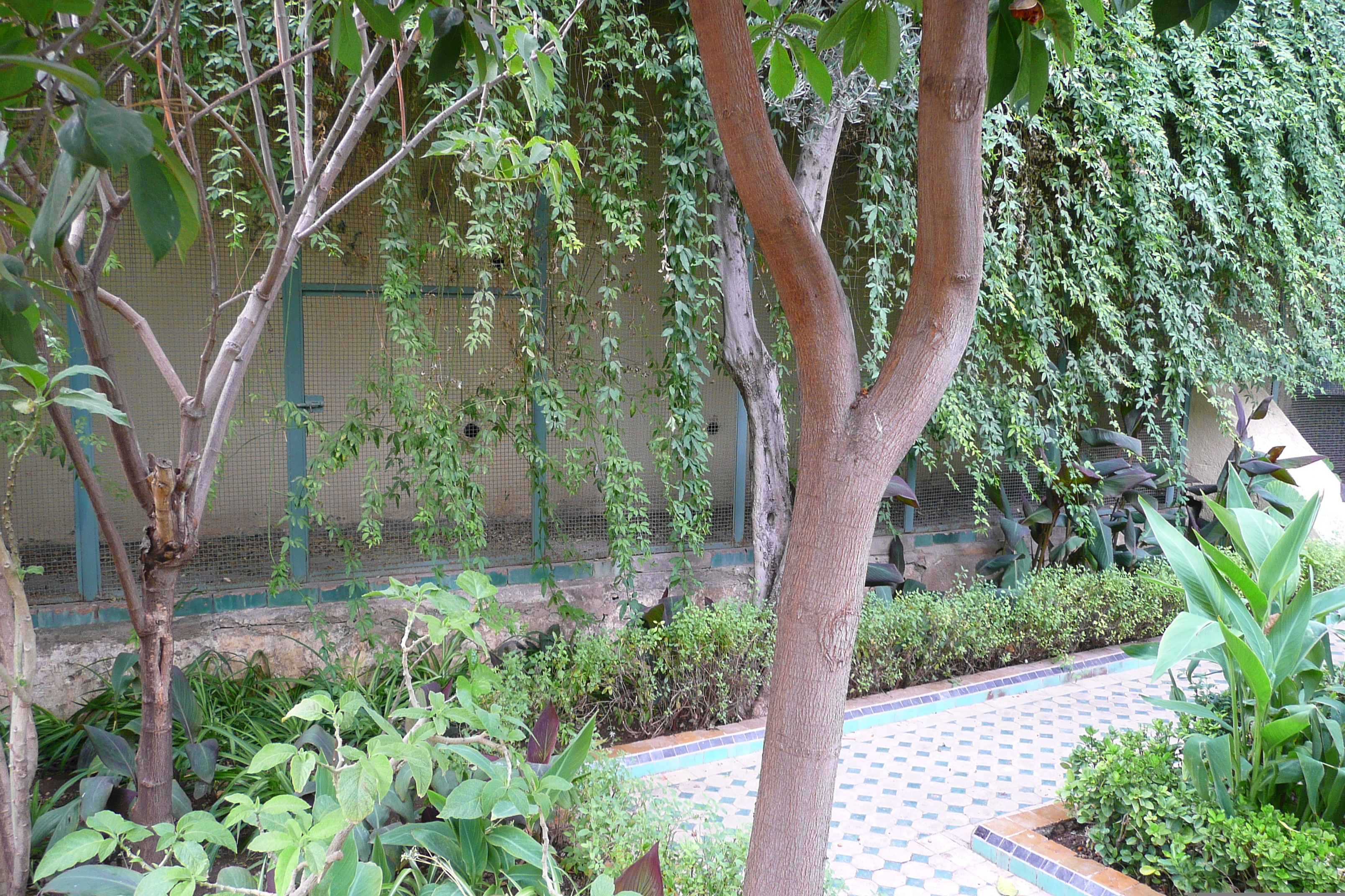 照片 摩洛哥(Morocco) 非斯(Fes) 贾迈宫酒店(Palais Jamai Hotel) 2008-07 22