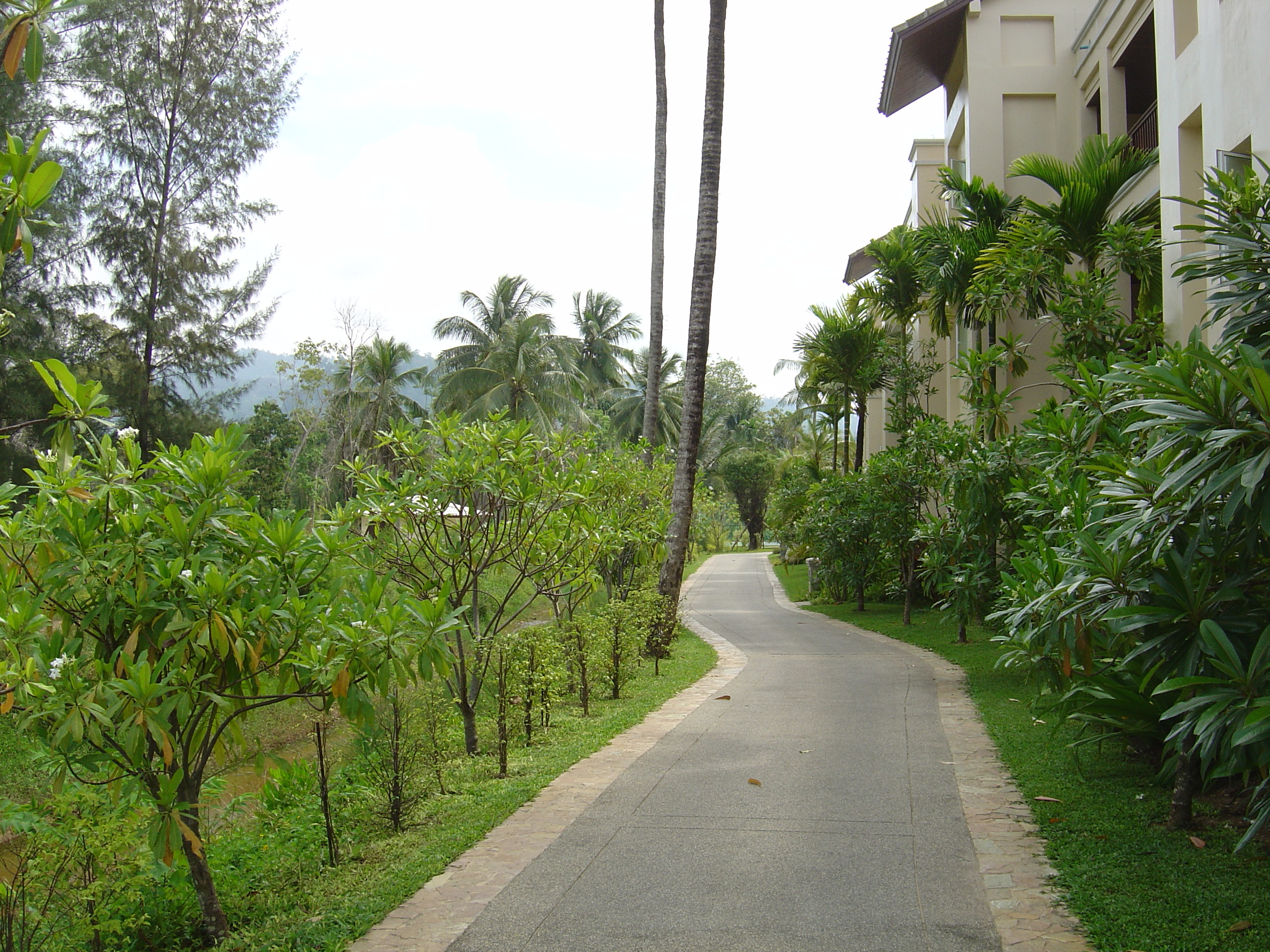 照片 泰国(Thailand) 考拉(Khao Lak) 考拉艾美酒店(Meridien Khao Lak Hotel) 2005-12 66