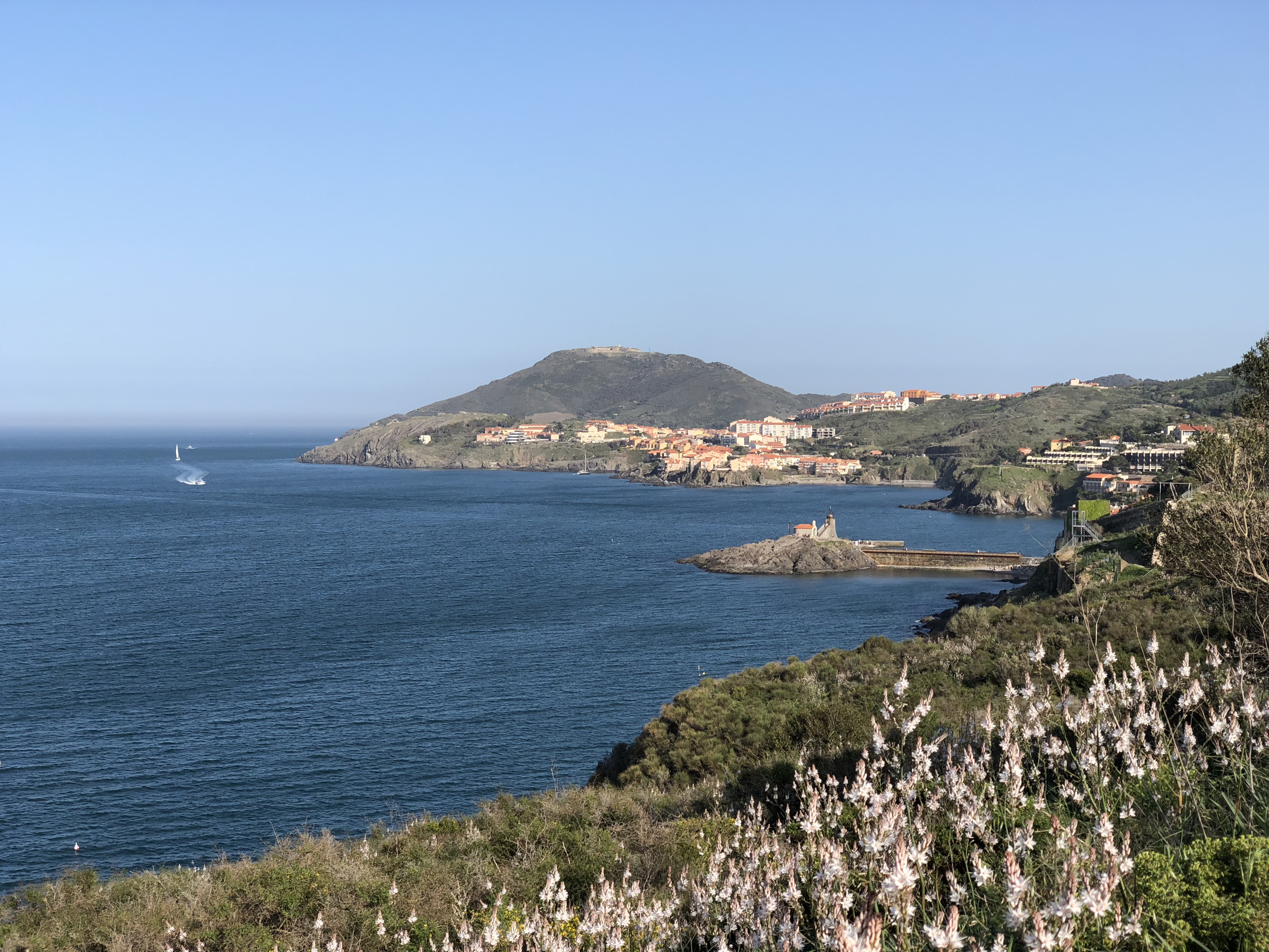 照片 法国(France) 科利乌尔(Collioure) 2018-04 164