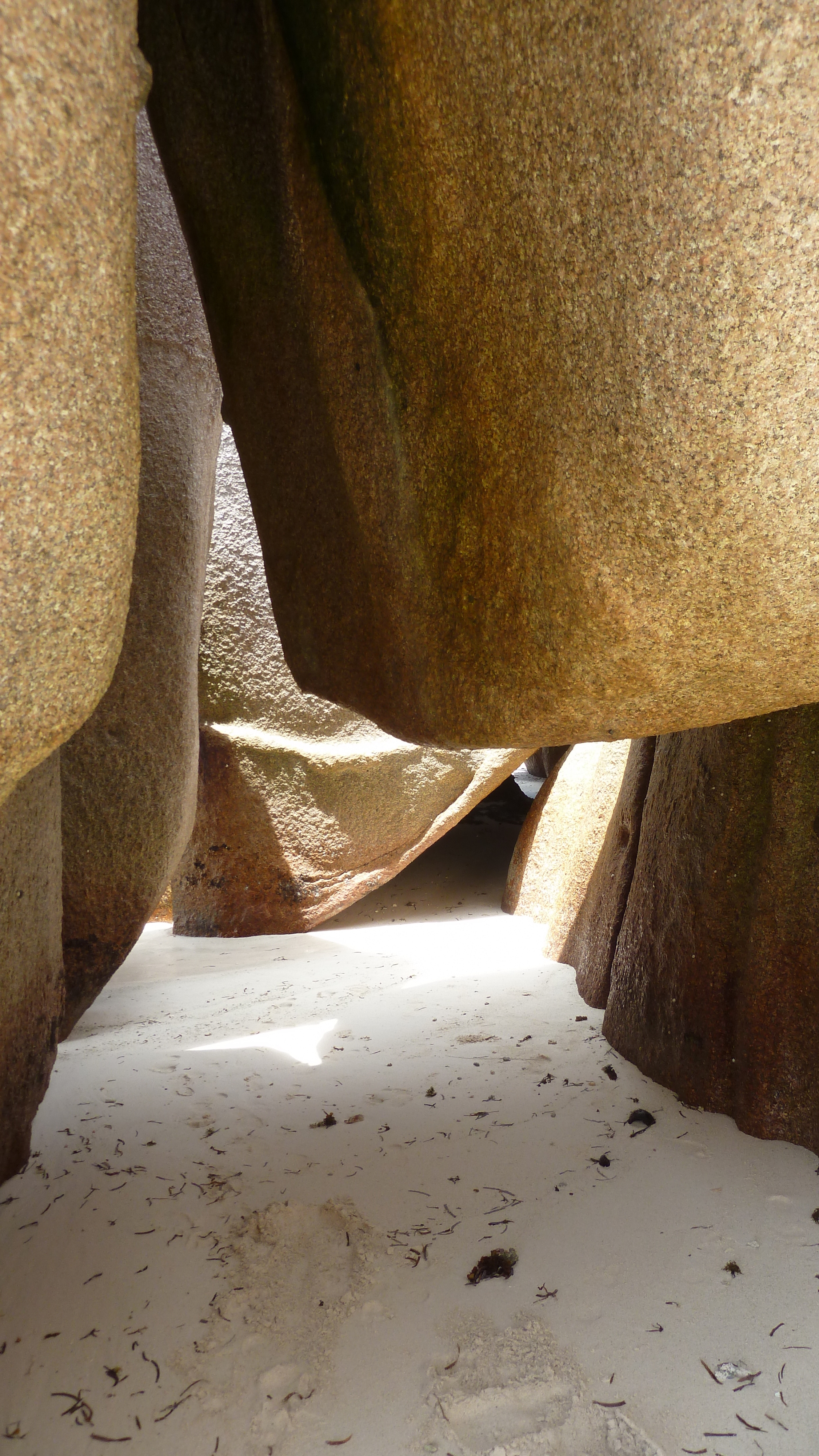 照片 塞舌尔(Seychelles) 拉迪格岛(La Digue) 2011-10 212