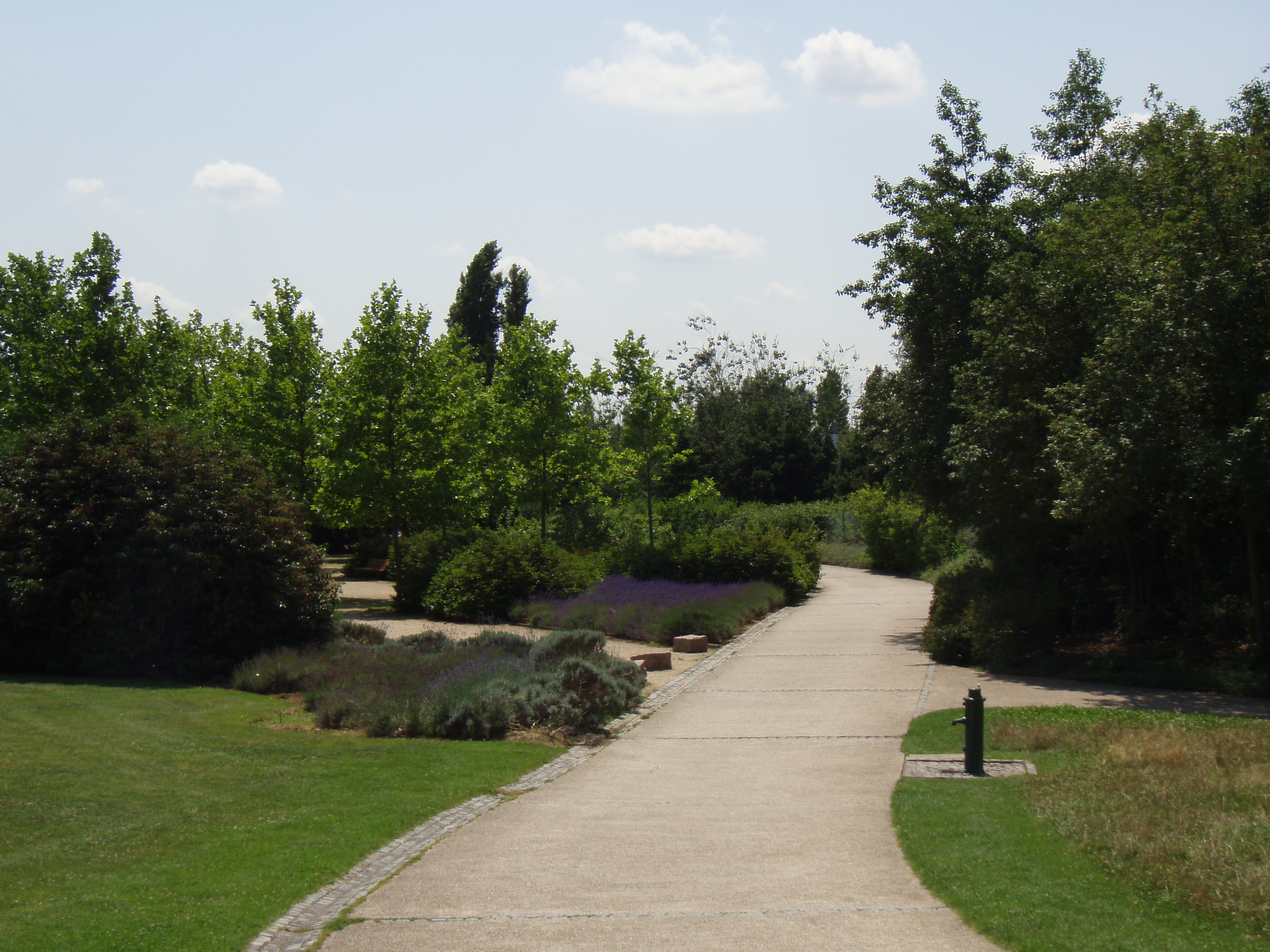 照片 法国(France) 维尔讷夫拉加雷讷(Villeneuve La Garenne) 尚特雷讷公园(Parc des Chanteraines) 2007-07 67