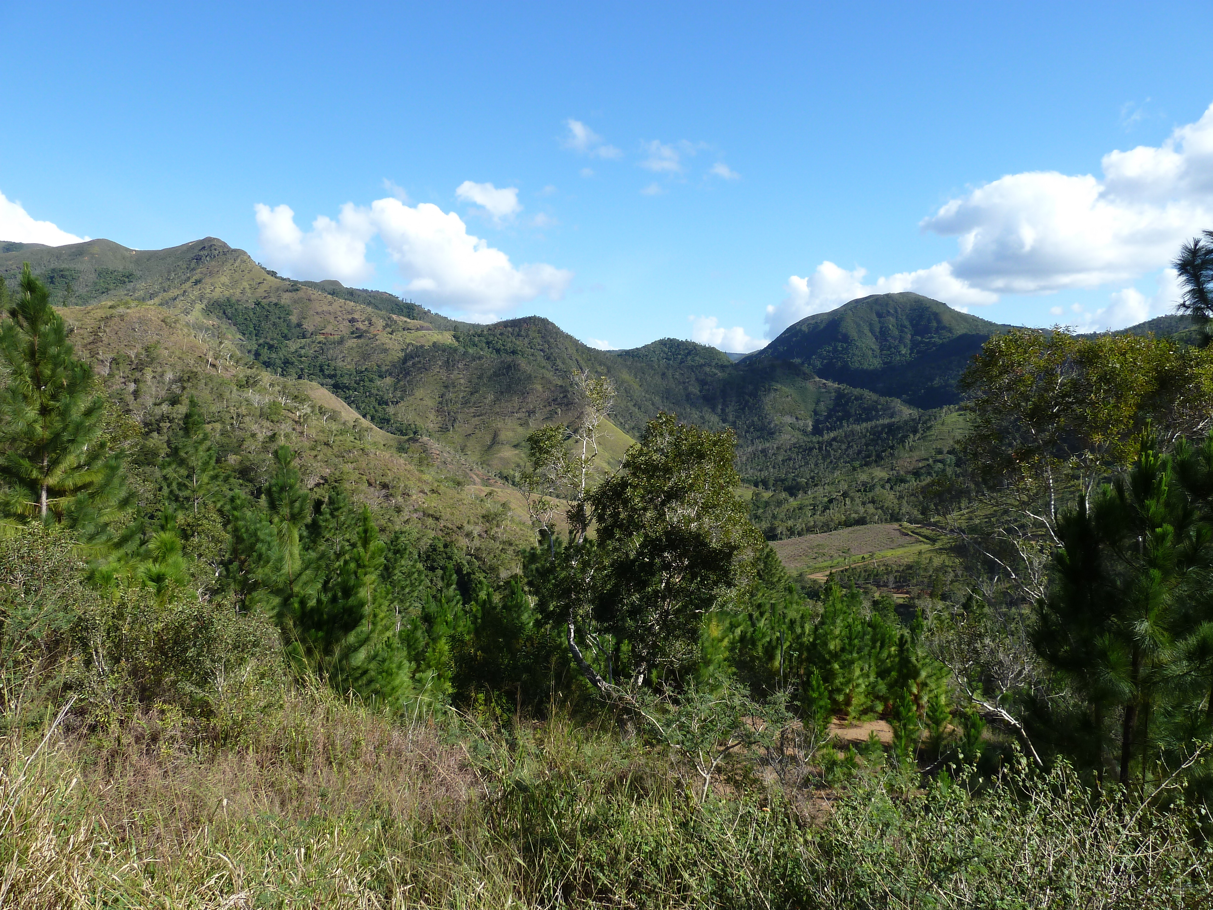 照片 新喀里多尼亚(New Caledonia) 2010-05 126