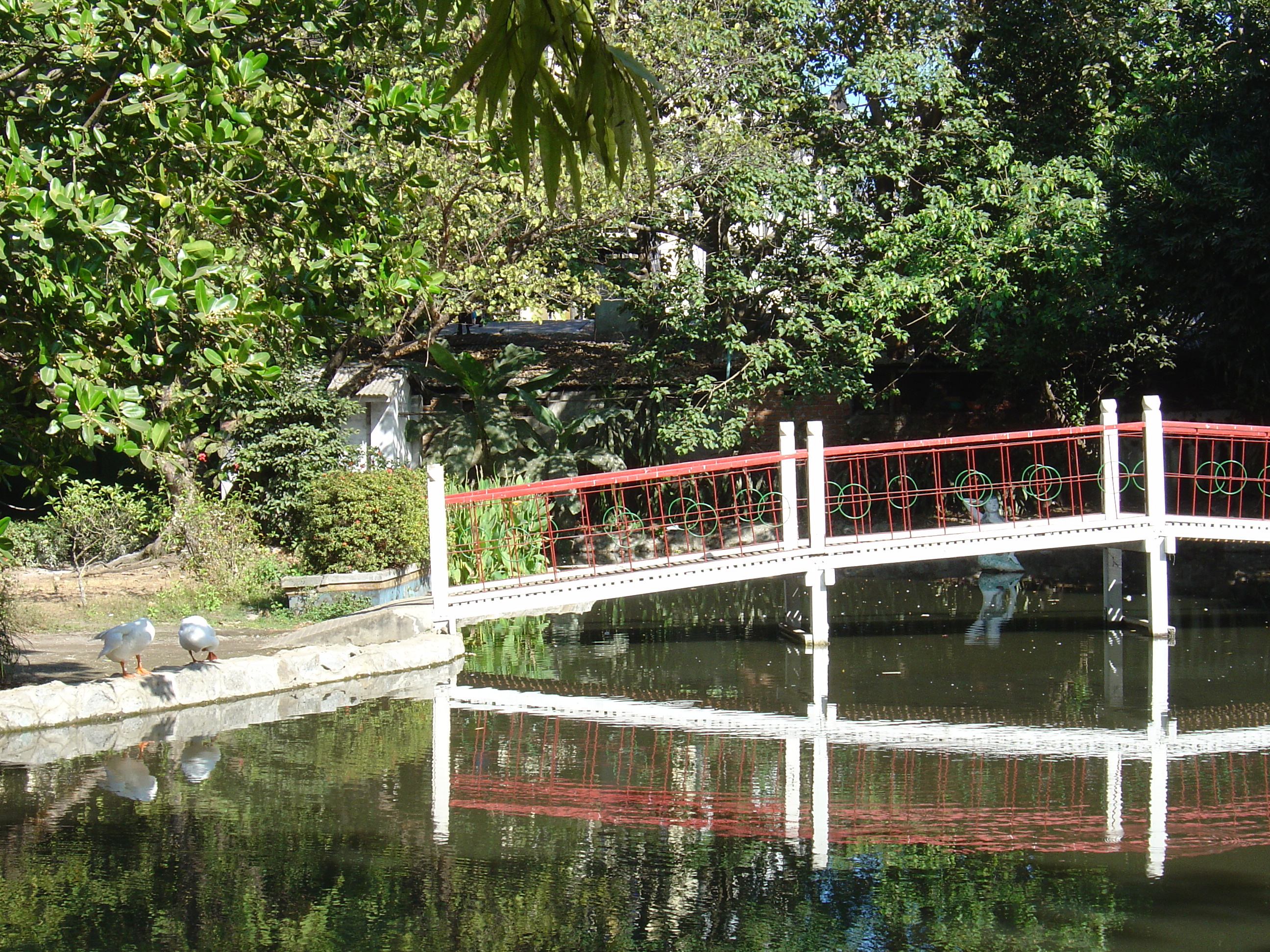 照片 缅甸(Myanmar) 仰光(Yangon) 2005-01 196