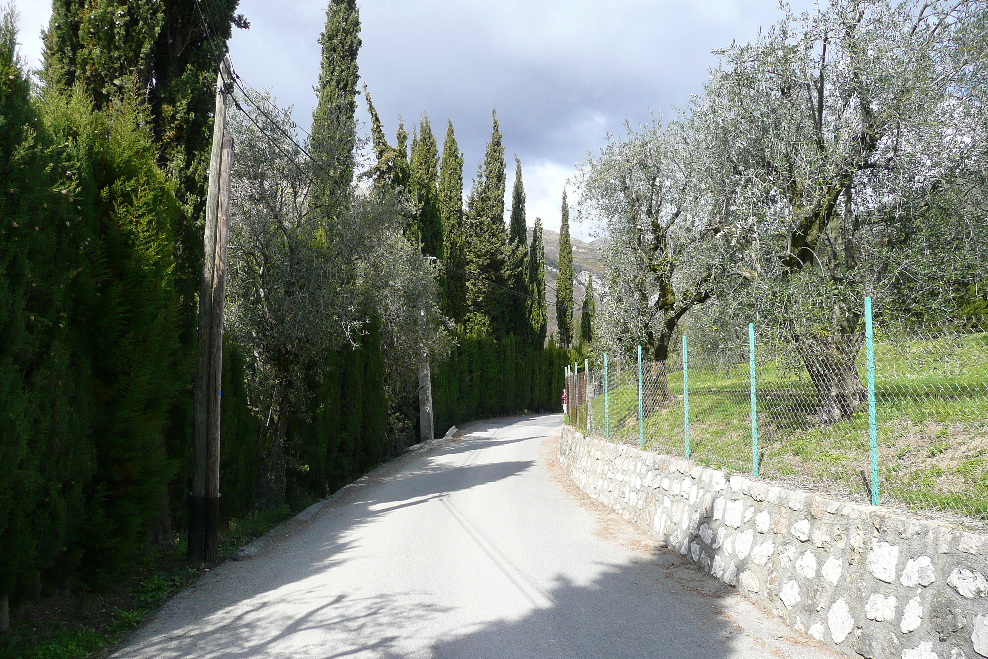 照片 法国(France) 旺斯(Vence) 上旺斯(Hauts de Vence) 2008-03 81