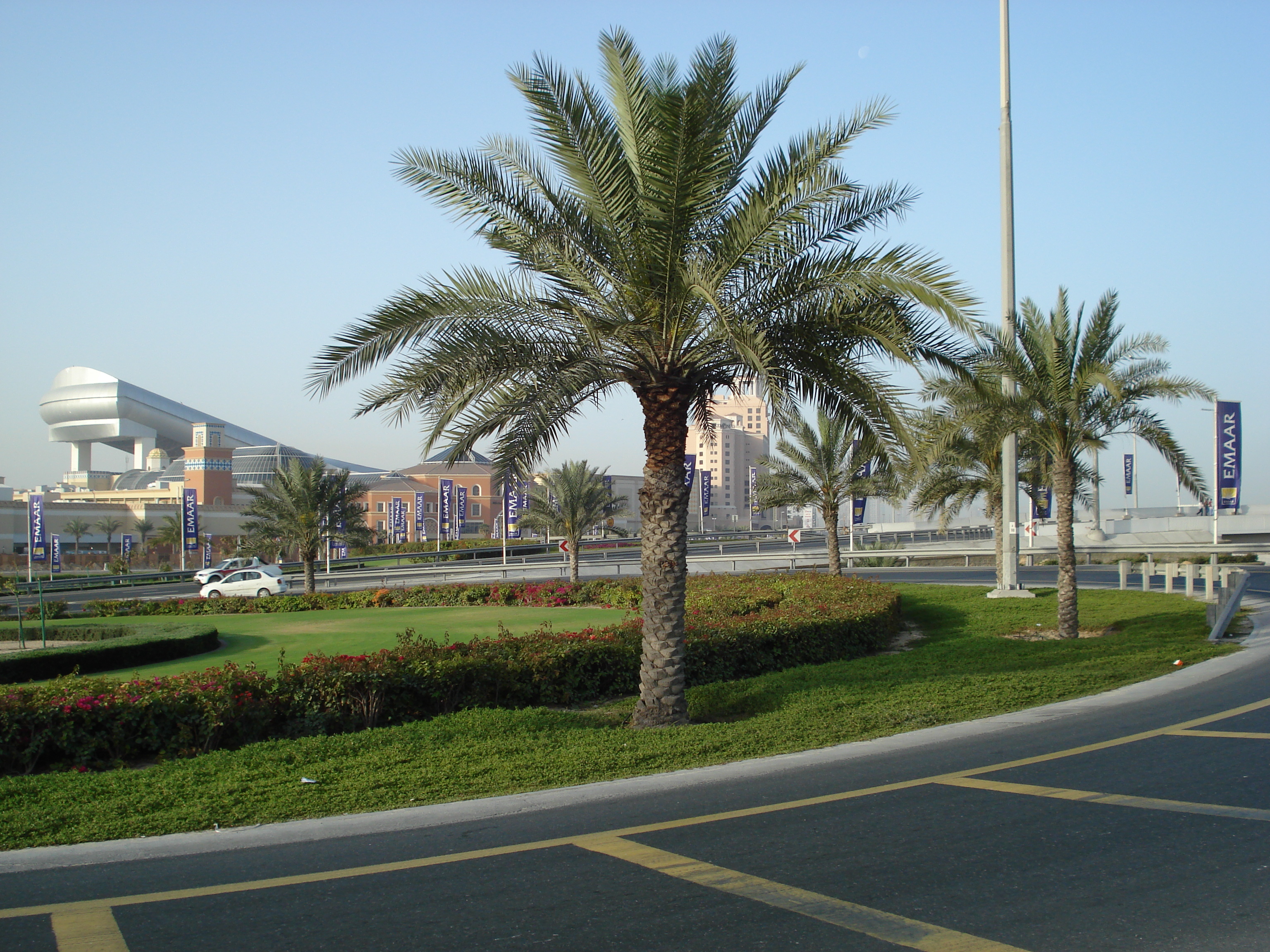 照片 阿联酋(United Arab Emirates) 迪拜(Dubai) 2007-03 18
