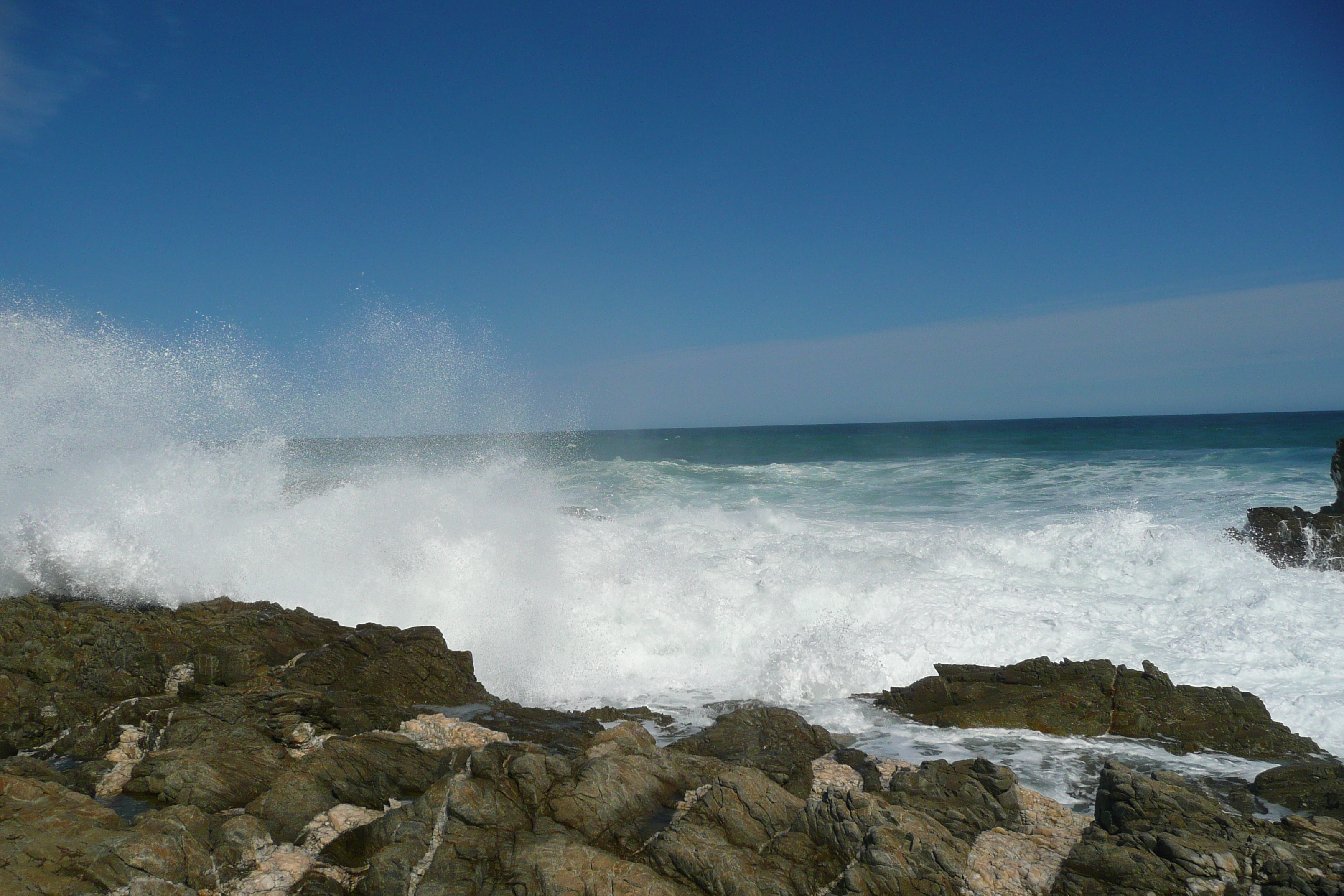 照片 南非(South Africa) 齐齐卡马国家公园(Tsitsikamma National Park) 2008-09 299