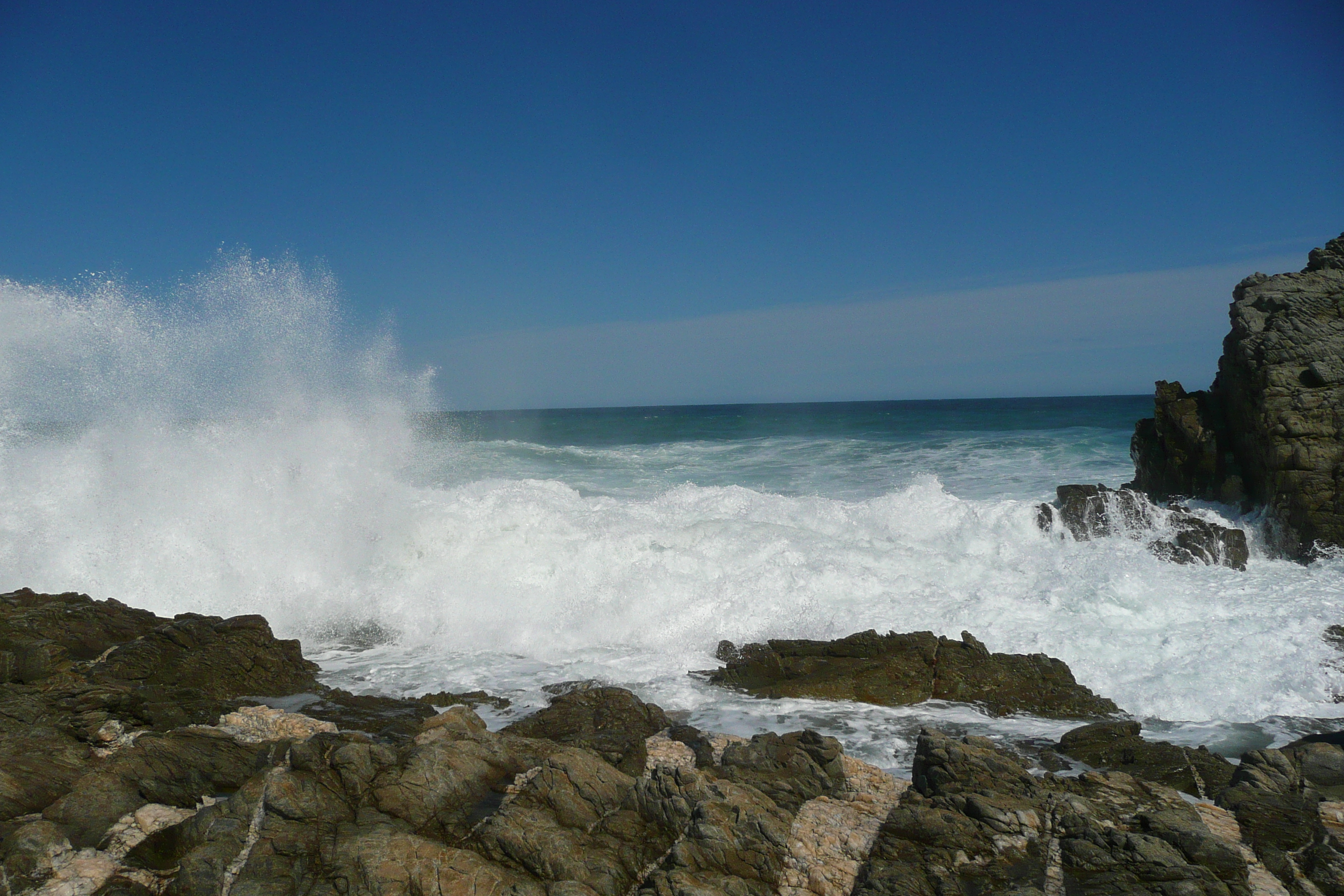 照片 南非(South Africa) 齐齐卡马国家公园(Tsitsikamma National Park) 2008-09 286