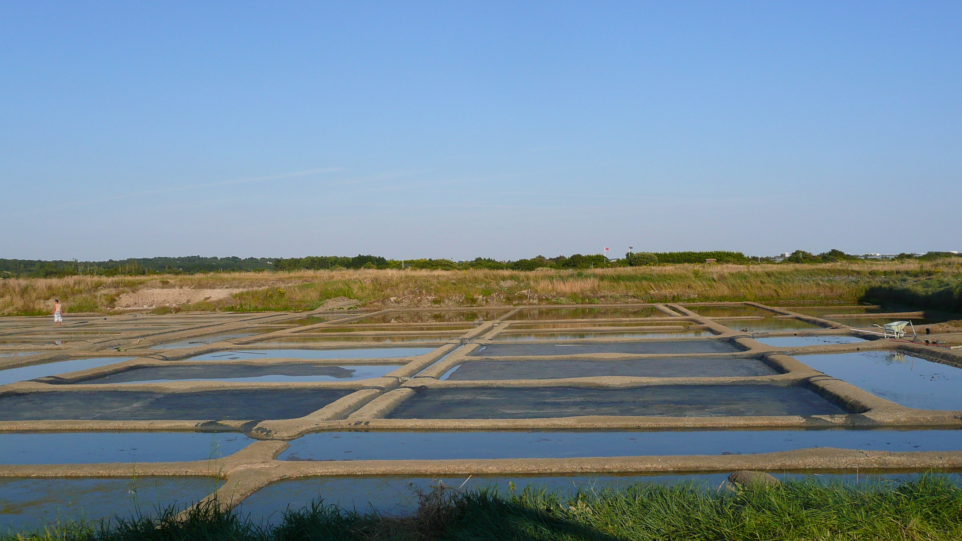 照片 法国(France) 盖朗德(Guerande) 盐田(Les marais salants) 2007-08 10