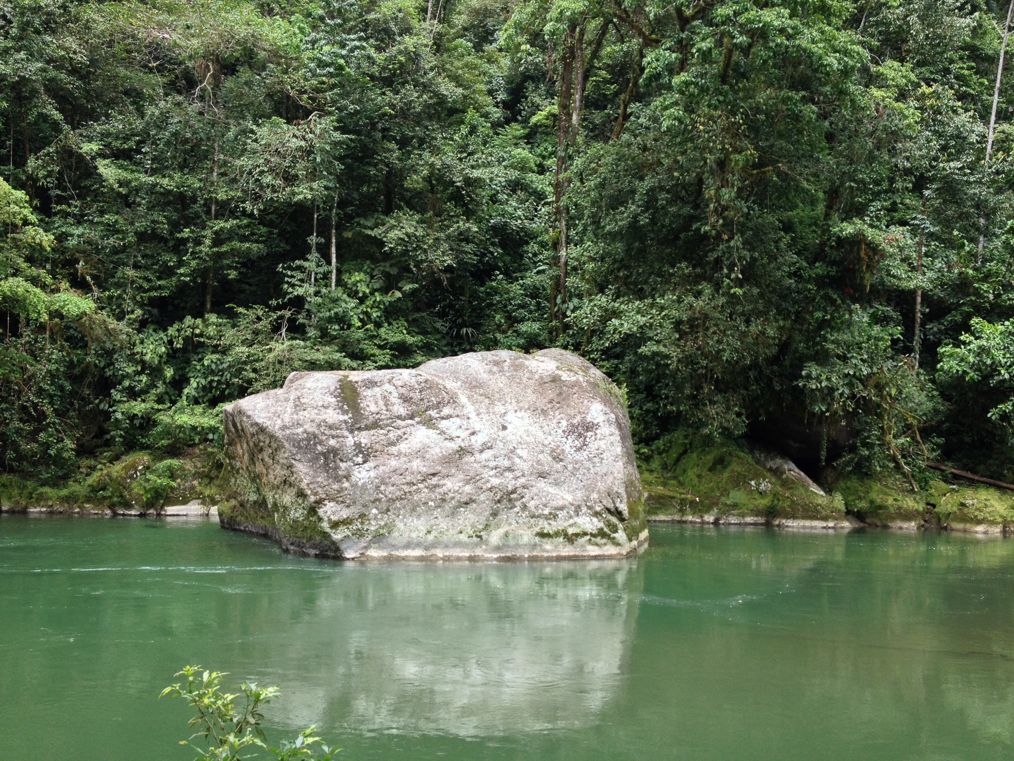 照片 哥斯达黎加(Costa Rica) 帕夸雷河(Pacuare River) 2015-03 209