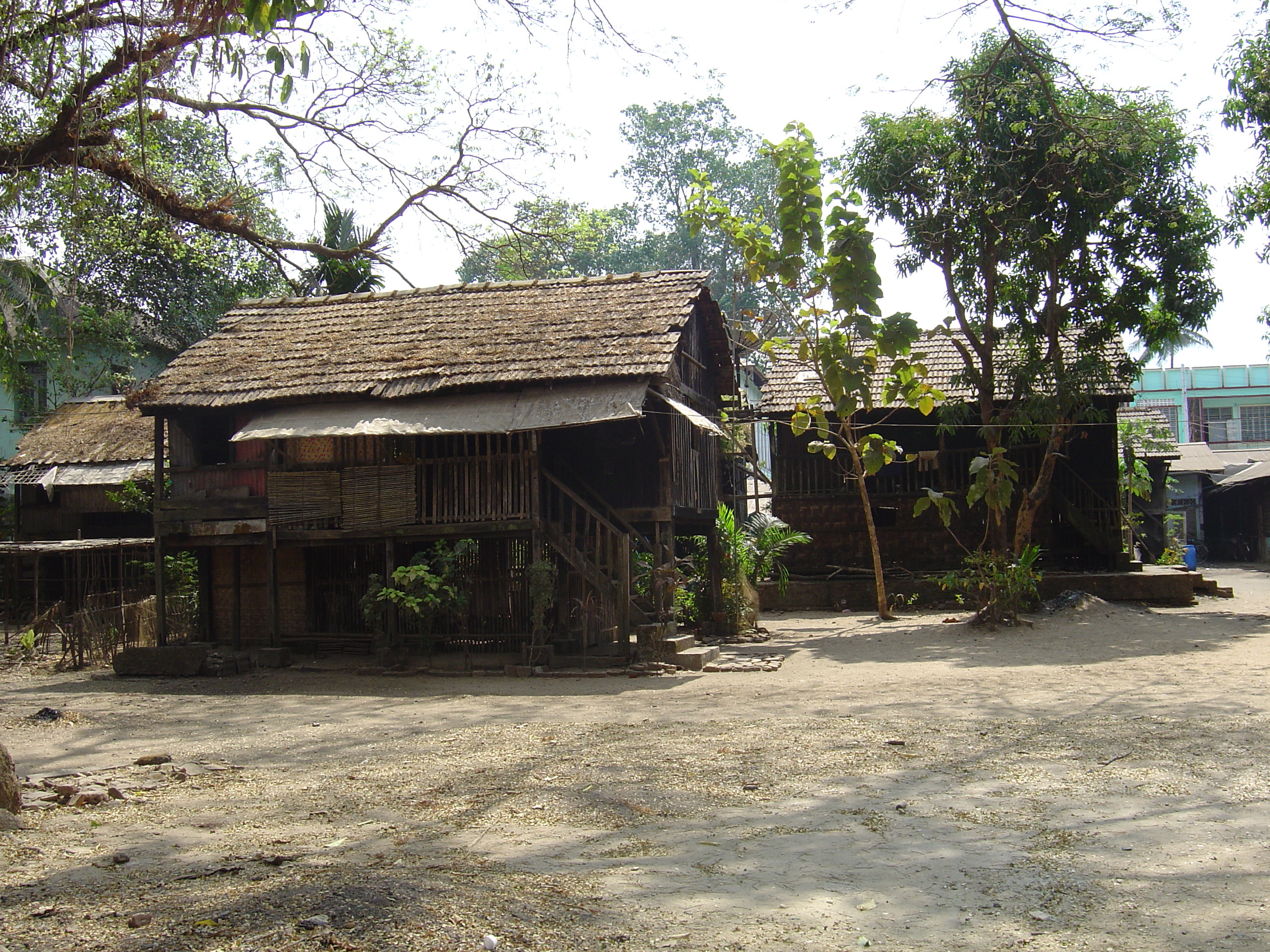 照片 缅甸(Myanmar) 土瓦(Dawei (TAVOY)) 2005-01 165