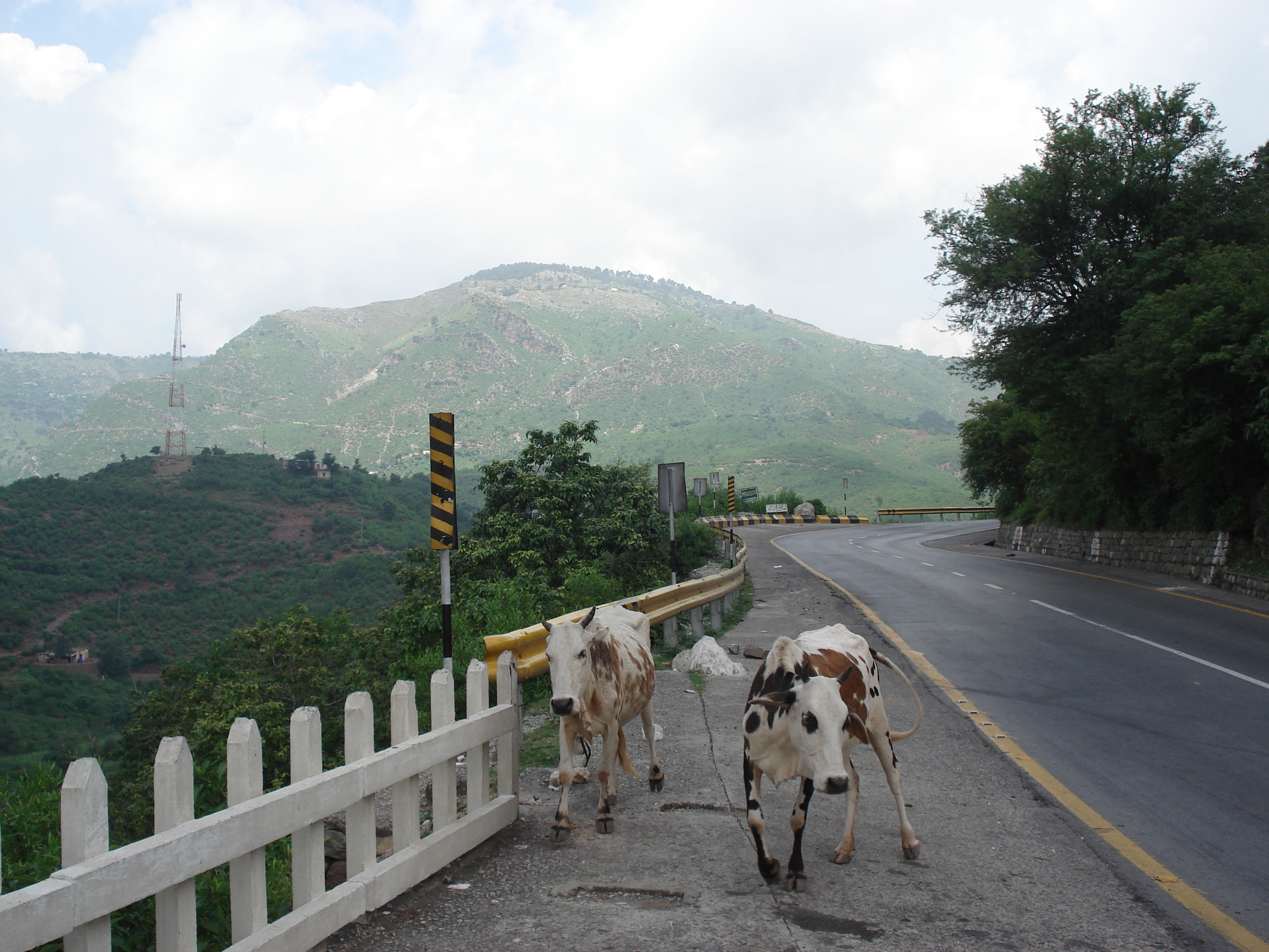 照片 巴基斯坦(Pakistan) 伊斯兰堡至穆里公路(Islamabad to Murree road) 2006-08 82