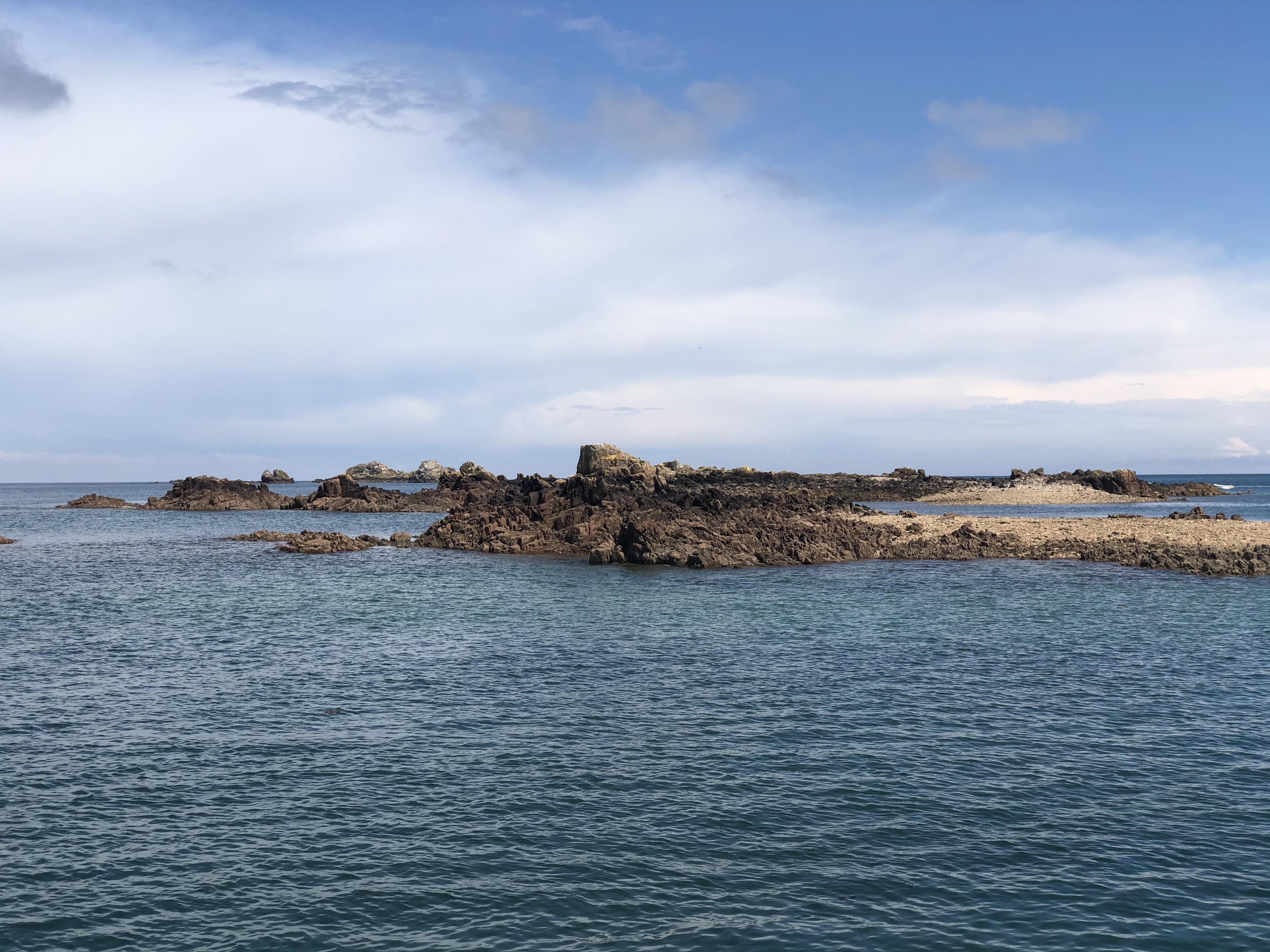 照片 法国(France) 布雷阿岛(Brehat Island) 2020-06 204