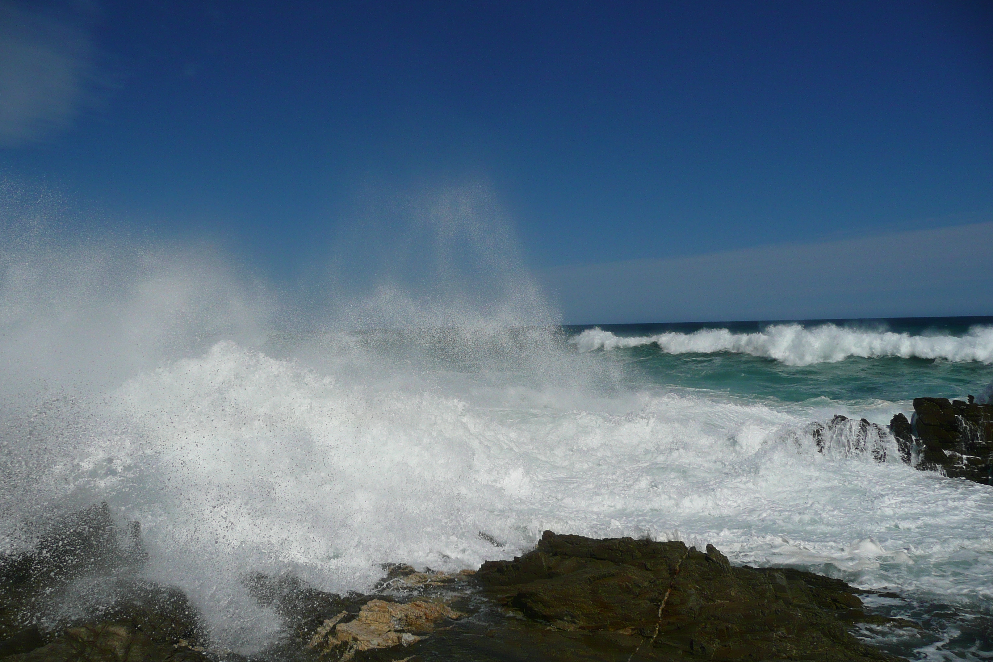 照片 南非(South Africa) 齐齐卡马国家公园(Tsitsikamma National Park) 2008-09 166