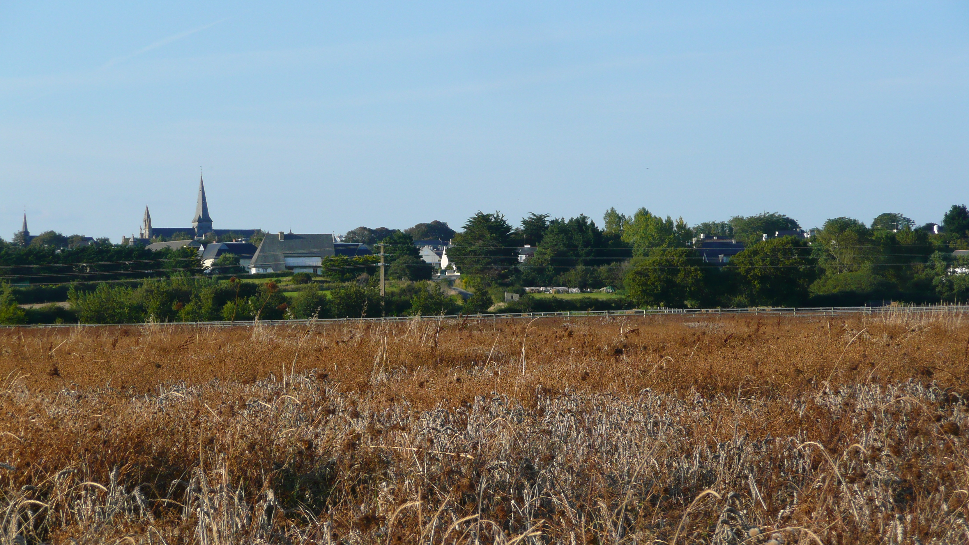 照片 法国(France) 盖朗德(Guerande) 2007-08 23