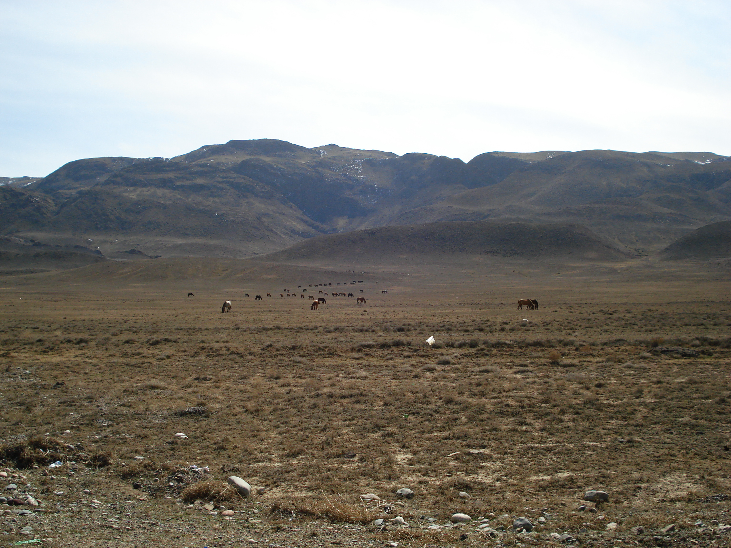 照片 哈萨克斯坦(Kazakhstan) 阿拉木图至恰伦峡谷公路(Almaty to Charyn Canyon road) 2007-03 73