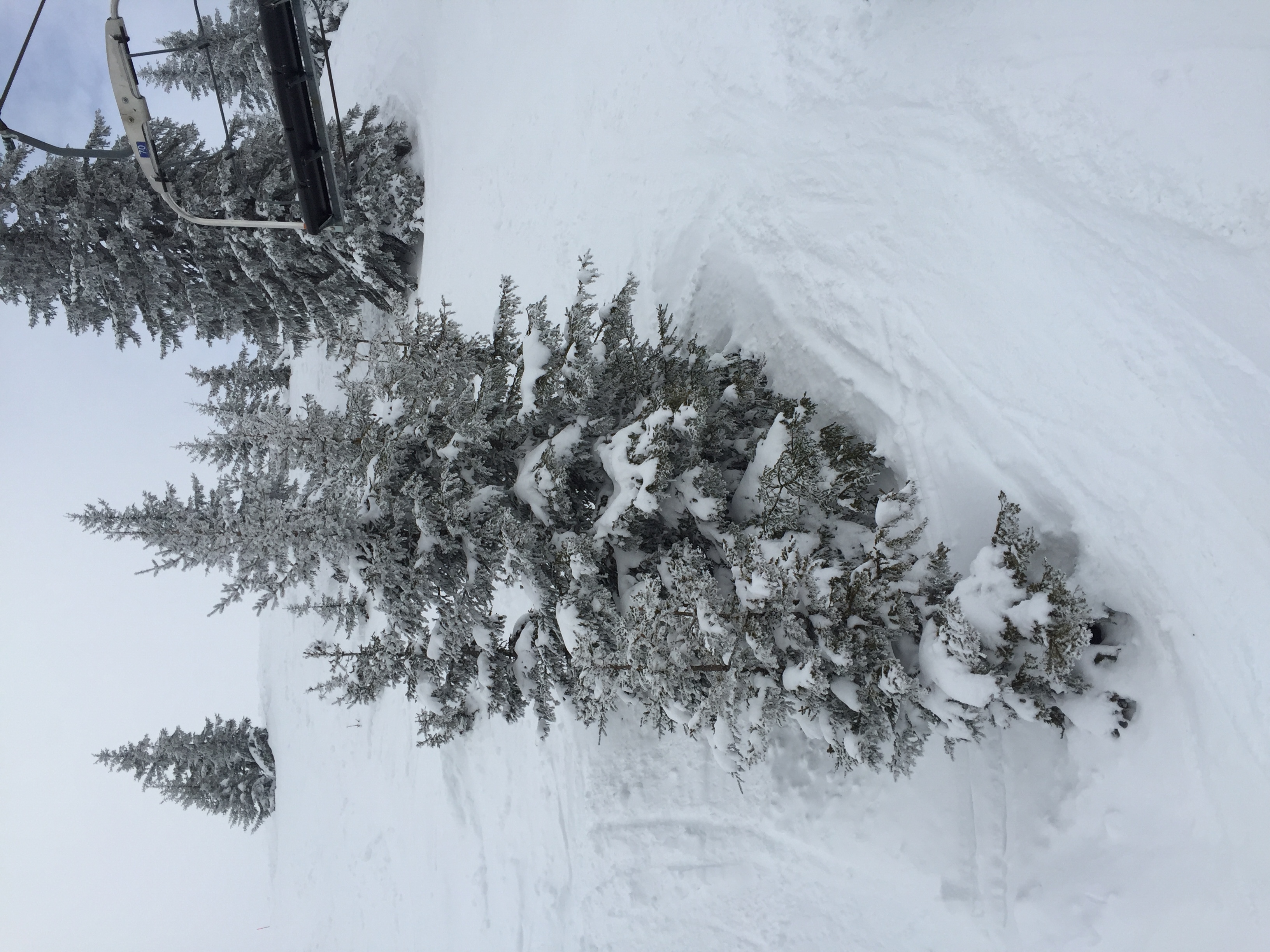 照片 法国(France) 梅杰夫(Megeve) 2016-02 97