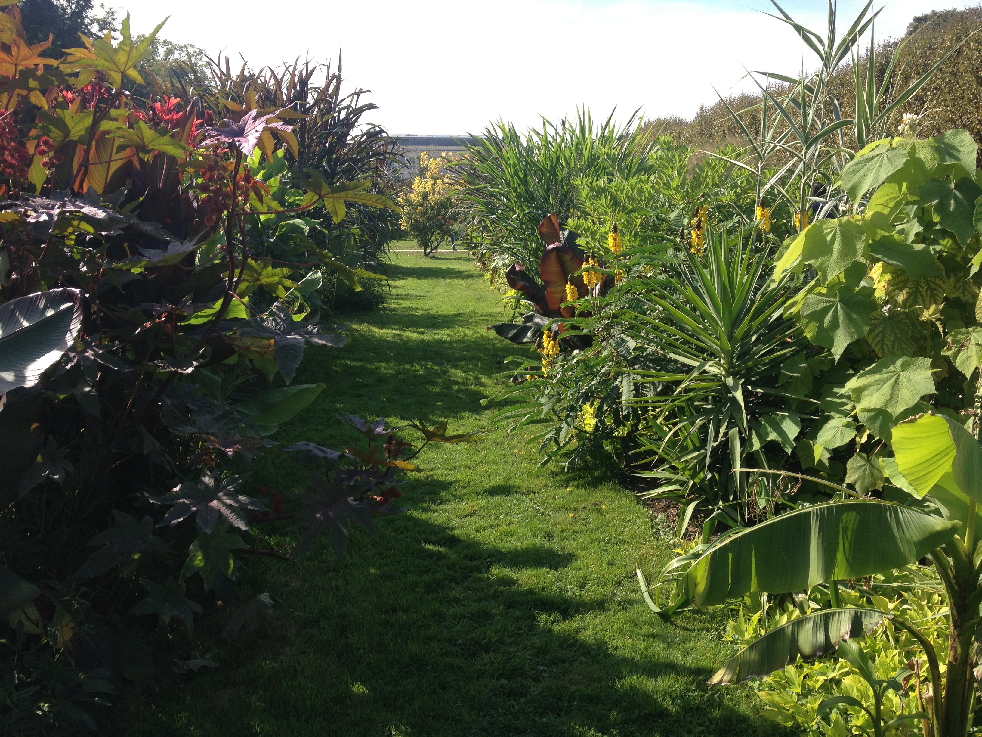 照片 法国(France) 巴黎(Paris) 巴黎植物园(Jardin des Plantes) 2014-09 14
