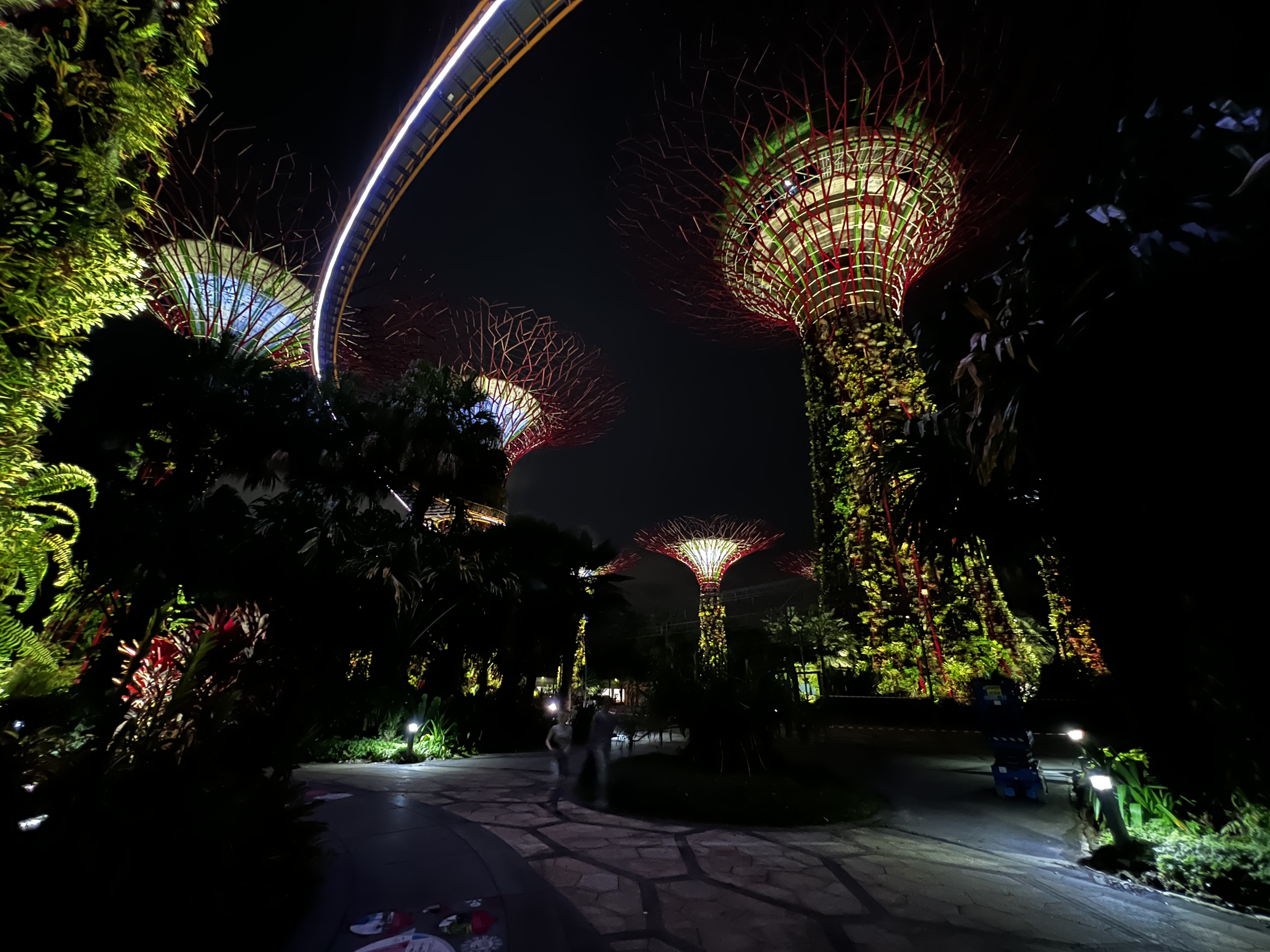 照片 新加坡(Singapore) 滨海湾花园(Garden by the bay) 2023-01 58