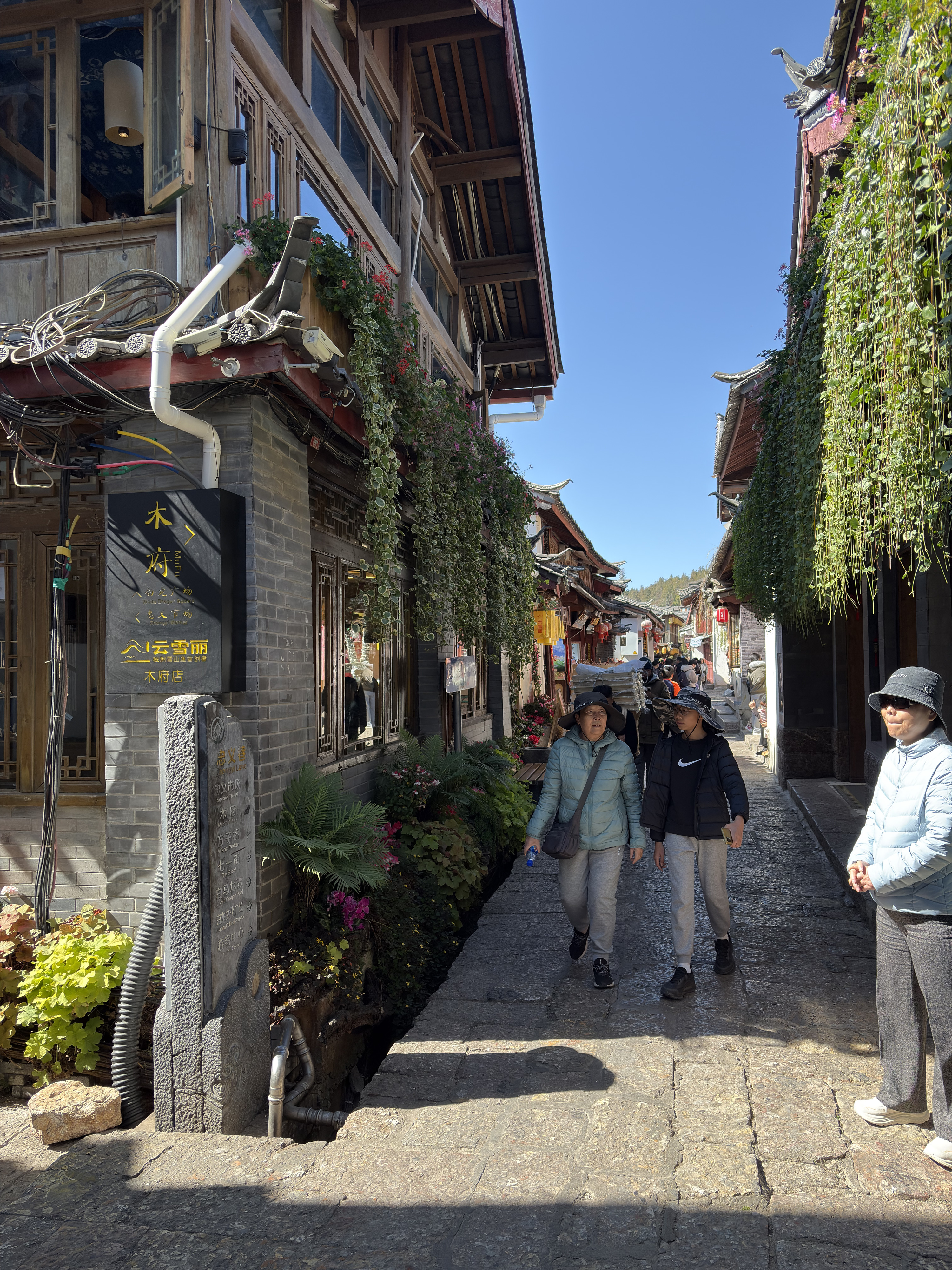 照片 中国(China) 丽江(Lijiang) 2026-01 370