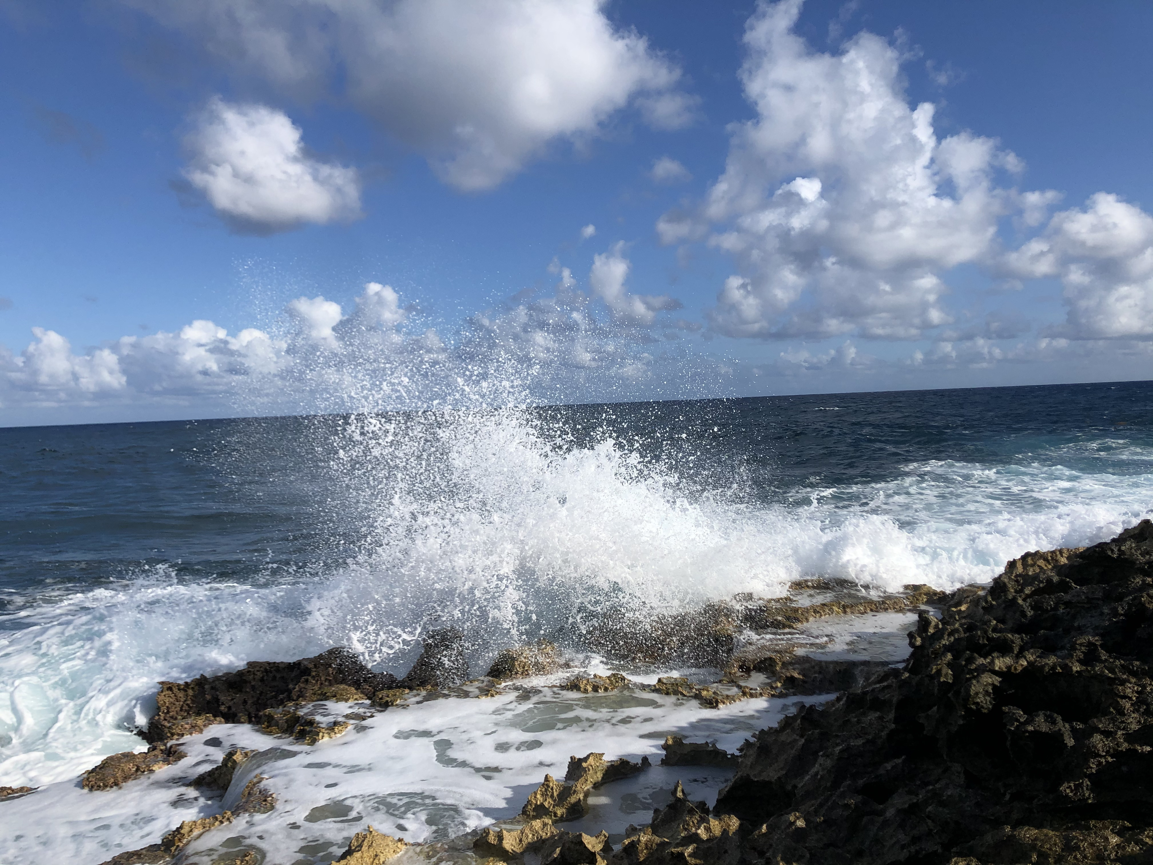 照片 瓜德罗普(Guadeloupe) 城堡角(Castle Point) 2021-02 98