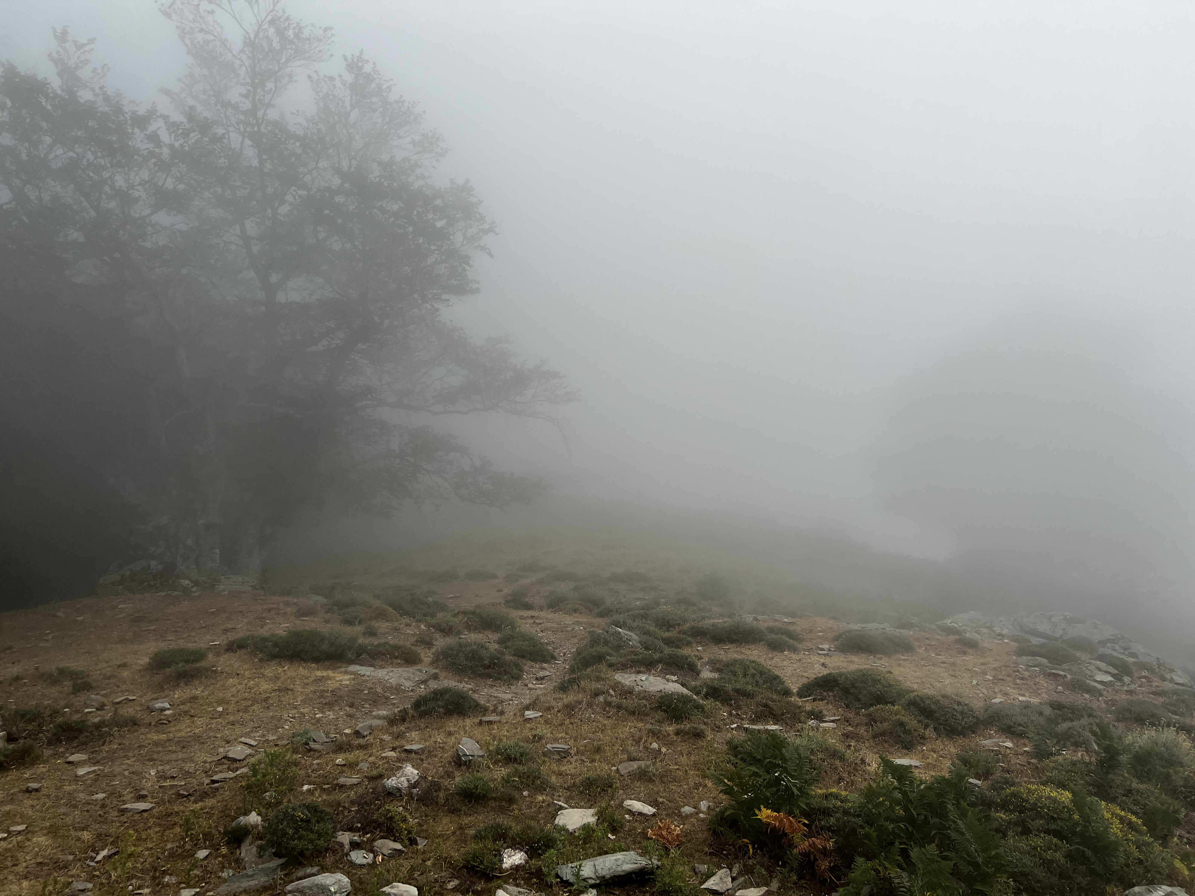 照片 法国(France) 科西嘉岛(Corsica) 卡莱鲁丘山屋(Refuge de Callerucciu) 2022-06 6