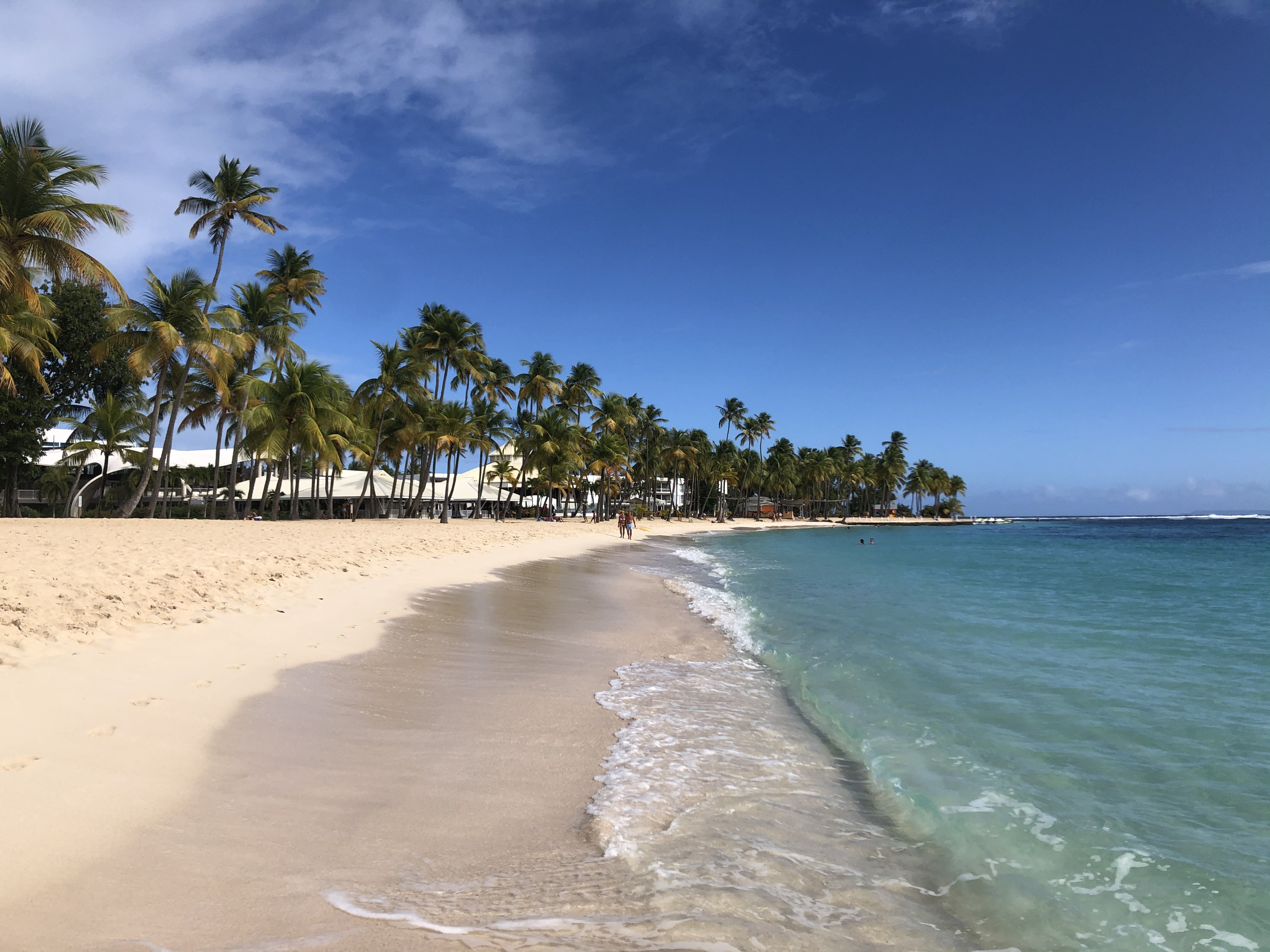 照片 瓜德罗普(Guadeloupe) 卡拉维尔海滩(La Caravelle Beach) 2021-02 8
