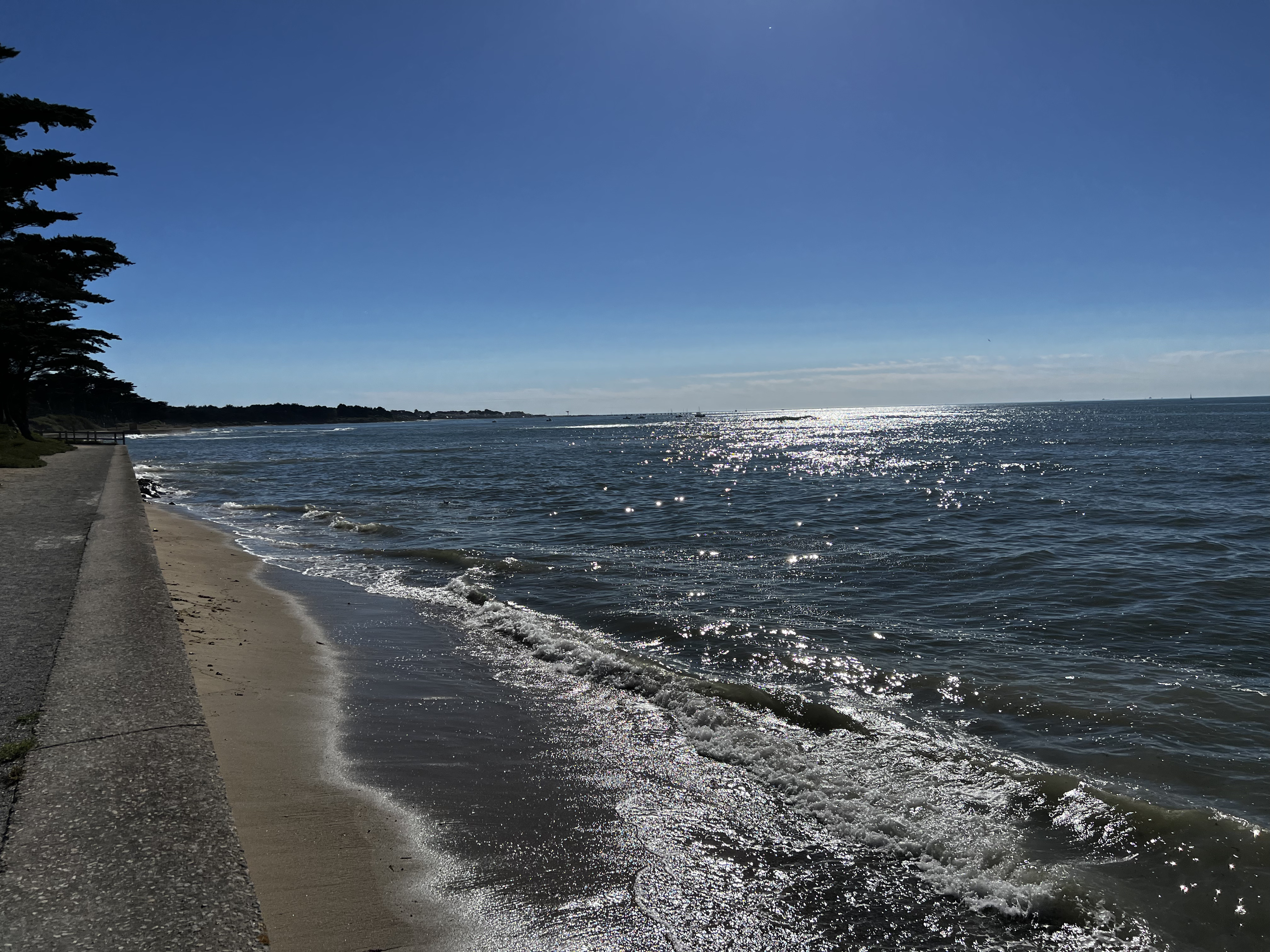 照片 法国(France) 滨海拉普莱讷(La Plaine sur mer) 2022-09 22