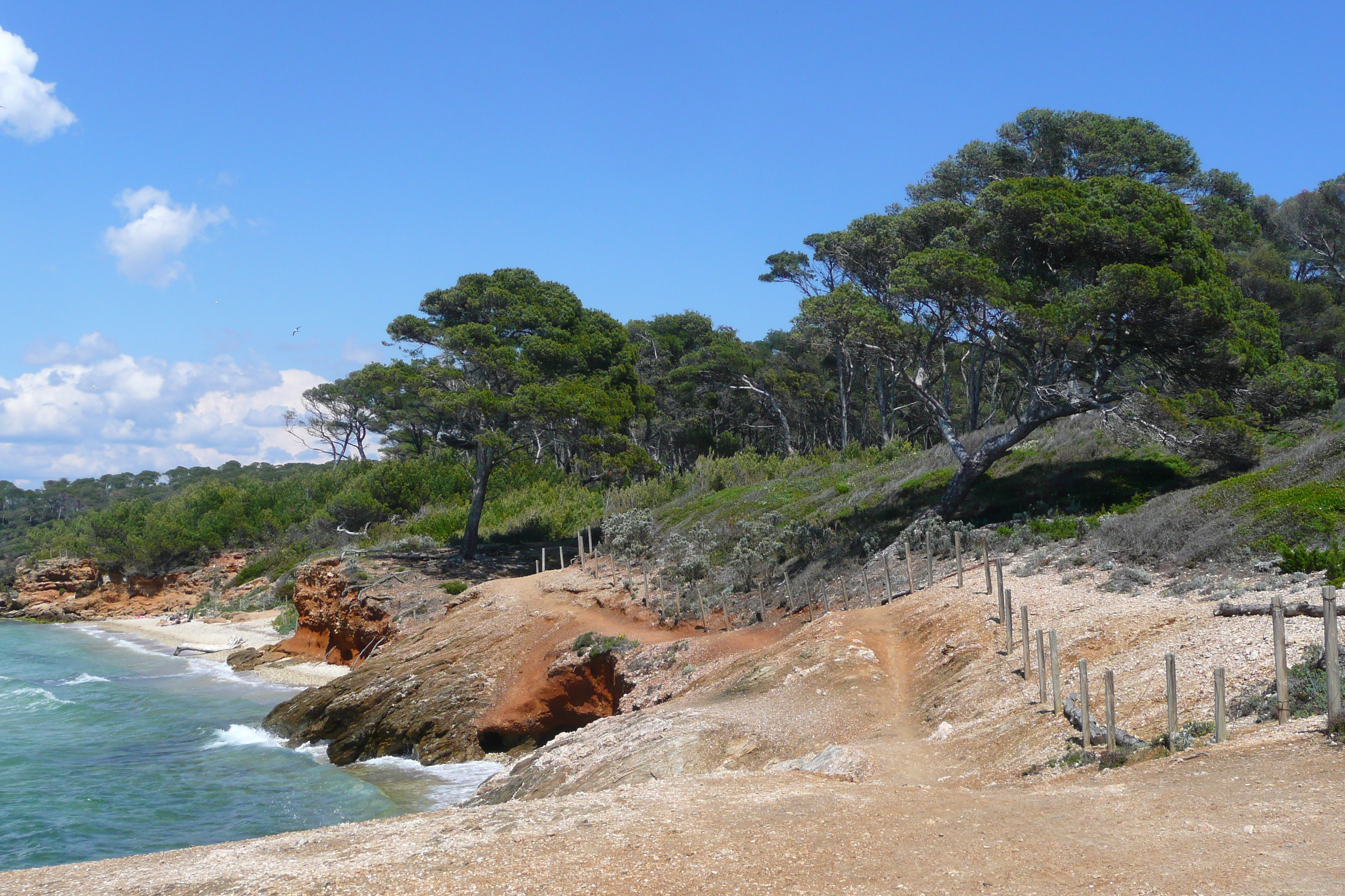照片 法国(France) 波克罗勒岛(Porquerolles Island) 库尔塔德海滩(Courtade beach) 2008-05 11