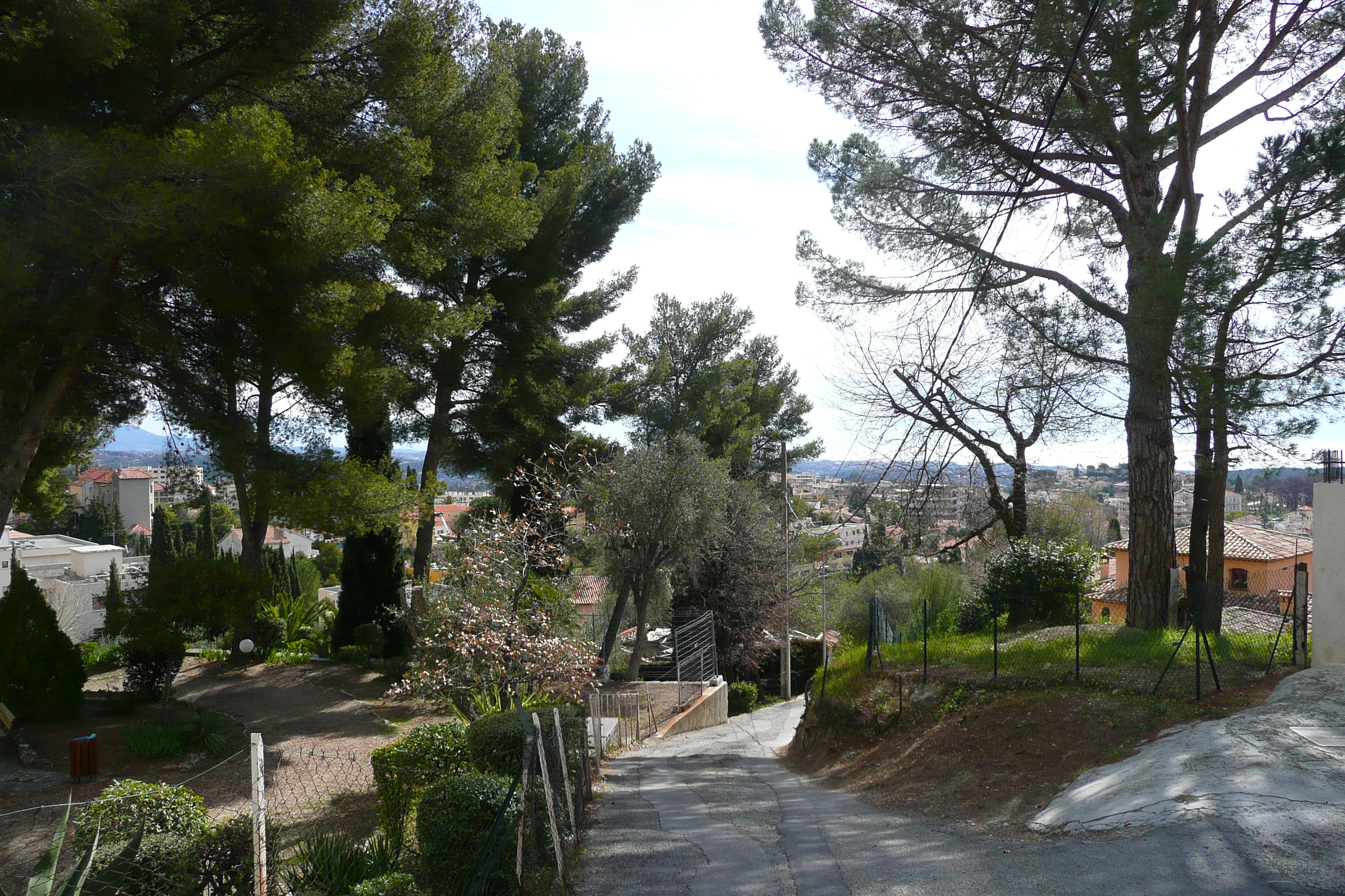 照片 法国(France) 旺斯(Vence) 上旺斯(Hauts de Vence) 2008-03 0