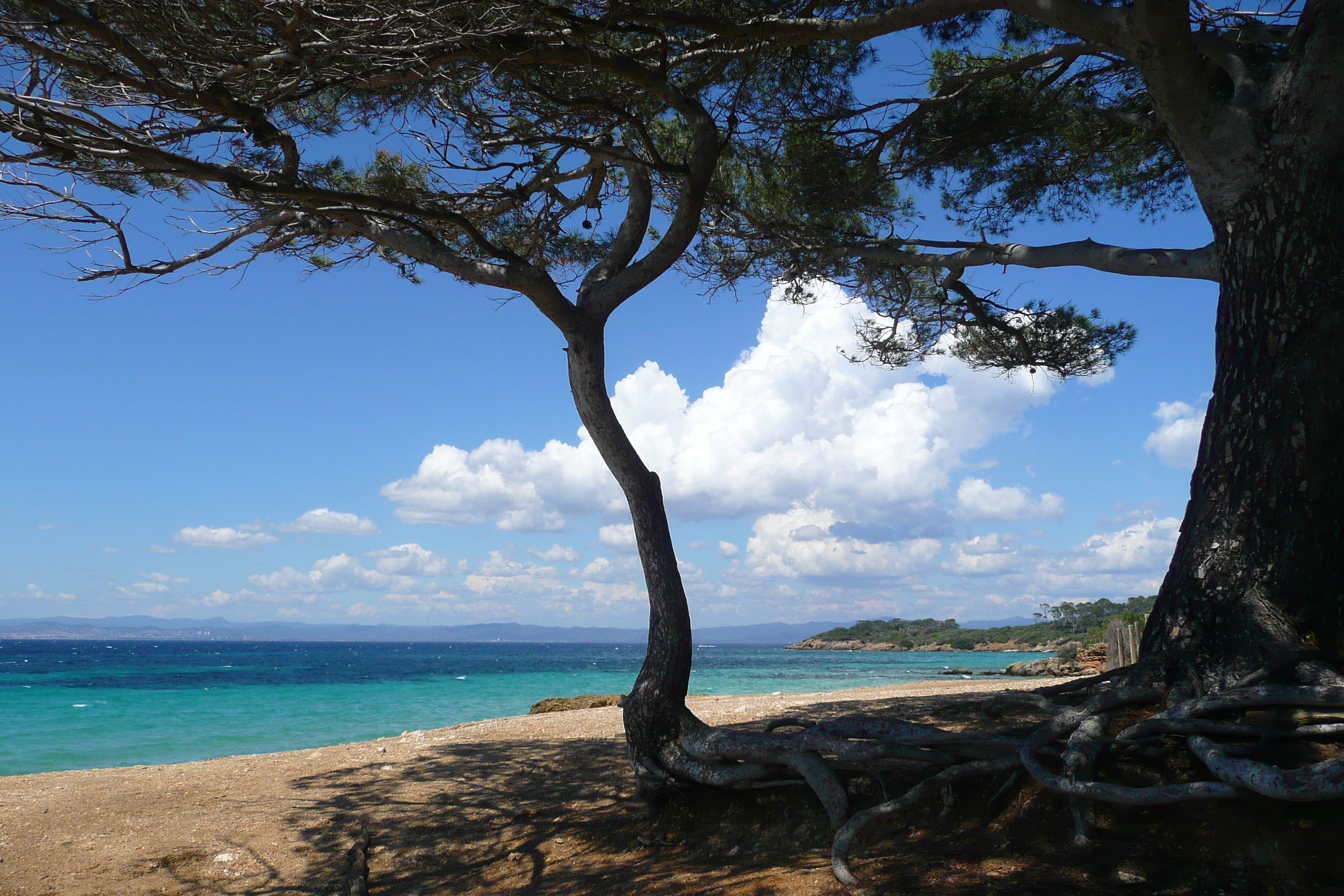 照片 法国(France) 波克罗勒岛(Porquerolles Island) 库尔塔德海滩(Courtade beach) 2008-05 1