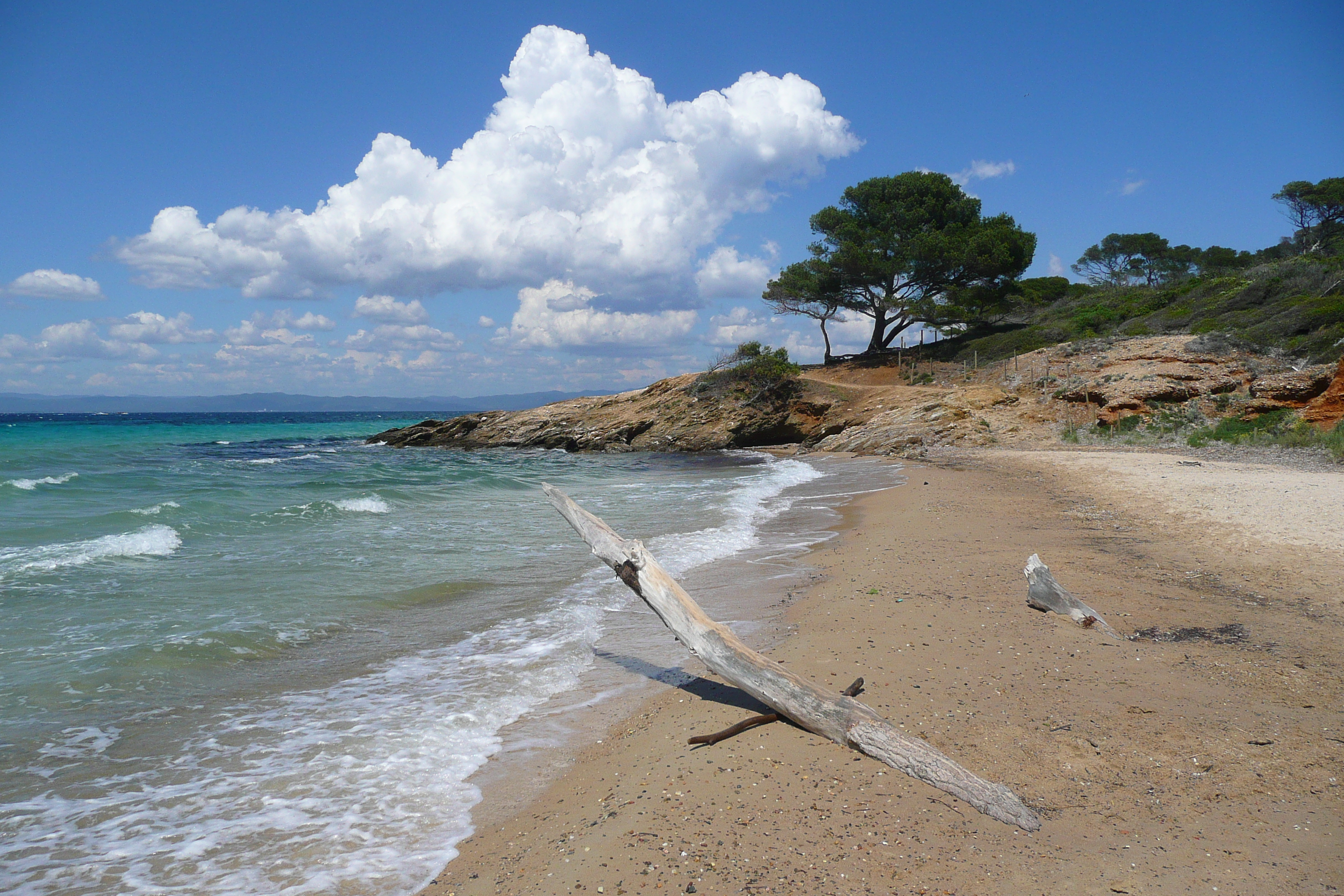 照片 法国(France) 波克罗勒岛(Porquerolles Island) 库尔塔德海滩(Courtade beach) 2008-05 30