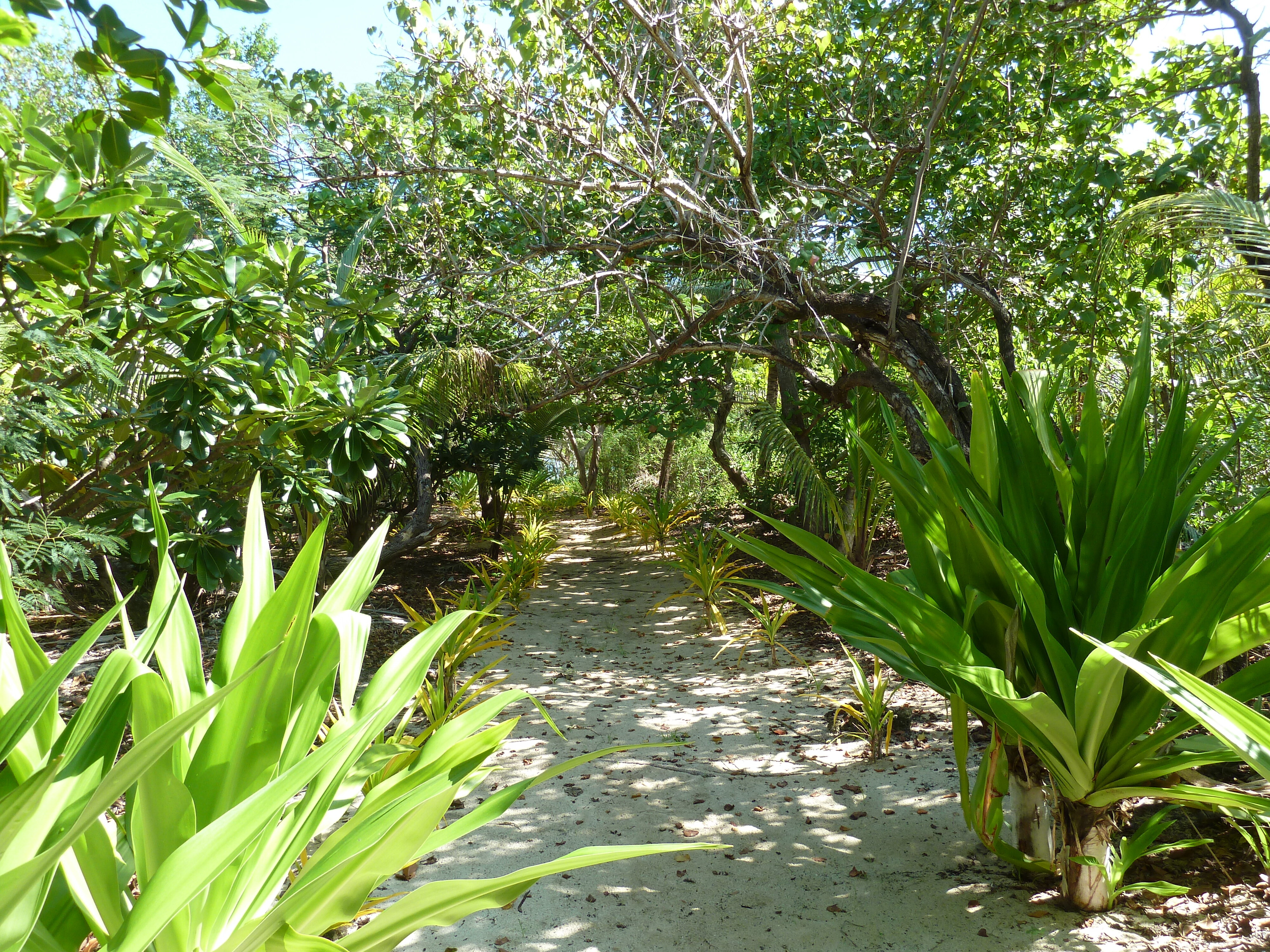 照片 斐济(Fiji) 库克船长游轮(Captain Cook Cruises) 2010-05 78