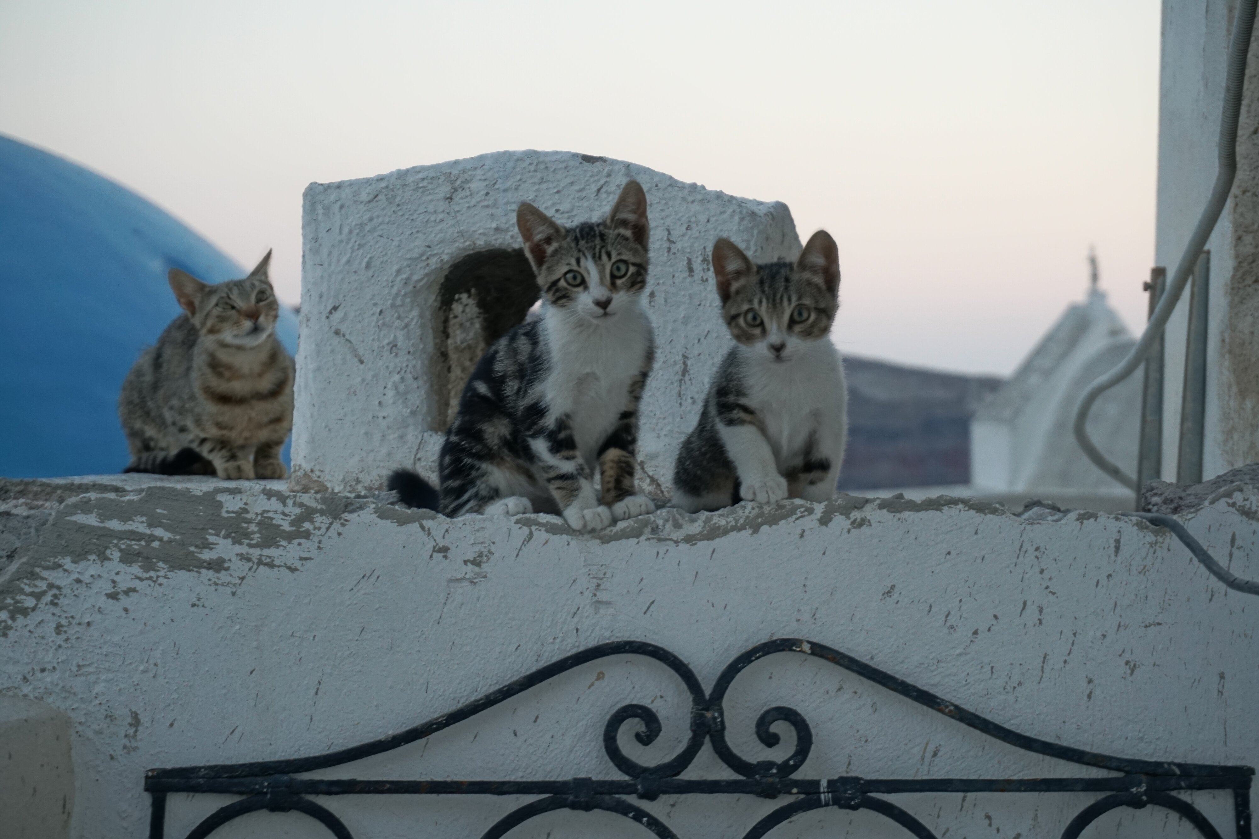 照片 希腊(Greece) 圣托里尼岛(Santorini) 伊亚洞穴屋(Oia cave house) 2016-07 9