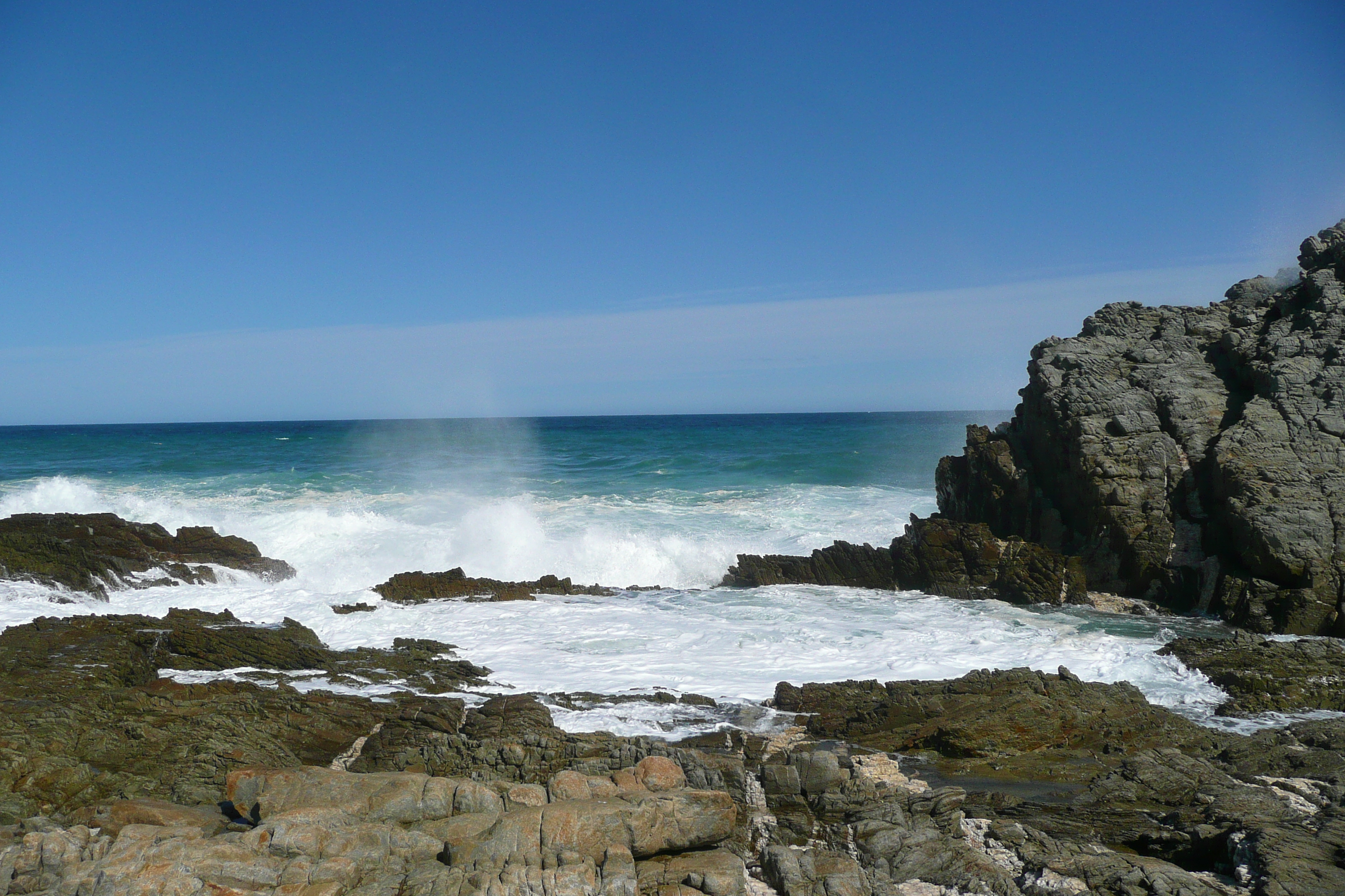 照片 南非(South Africa) 齐齐卡马国家公园(Tsitsikamma National Park) 2008-09 311