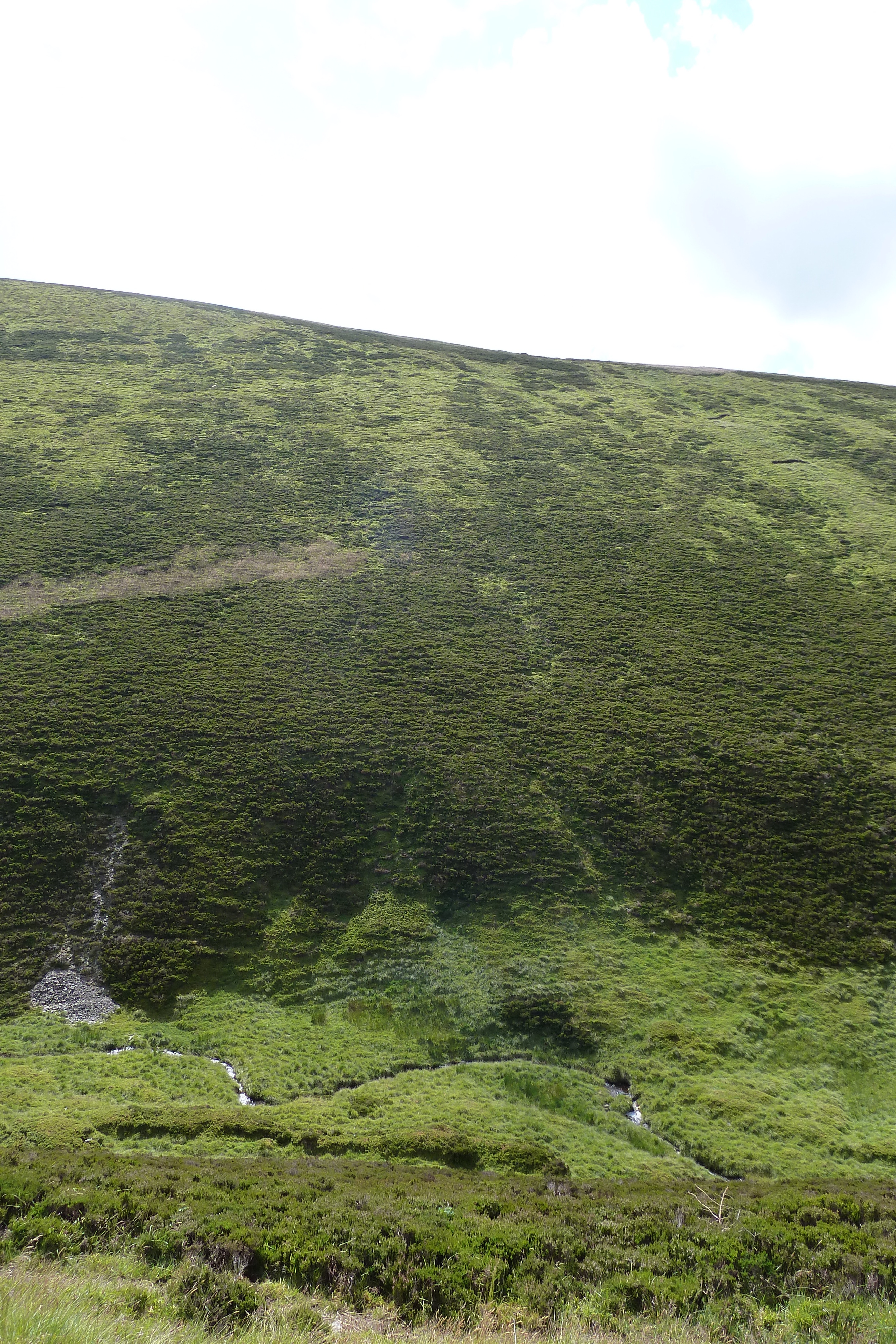 照片 英国(United Kingdom) 凯恩戈姆山国家公园(Cairngorms National Park) 2011-07 131